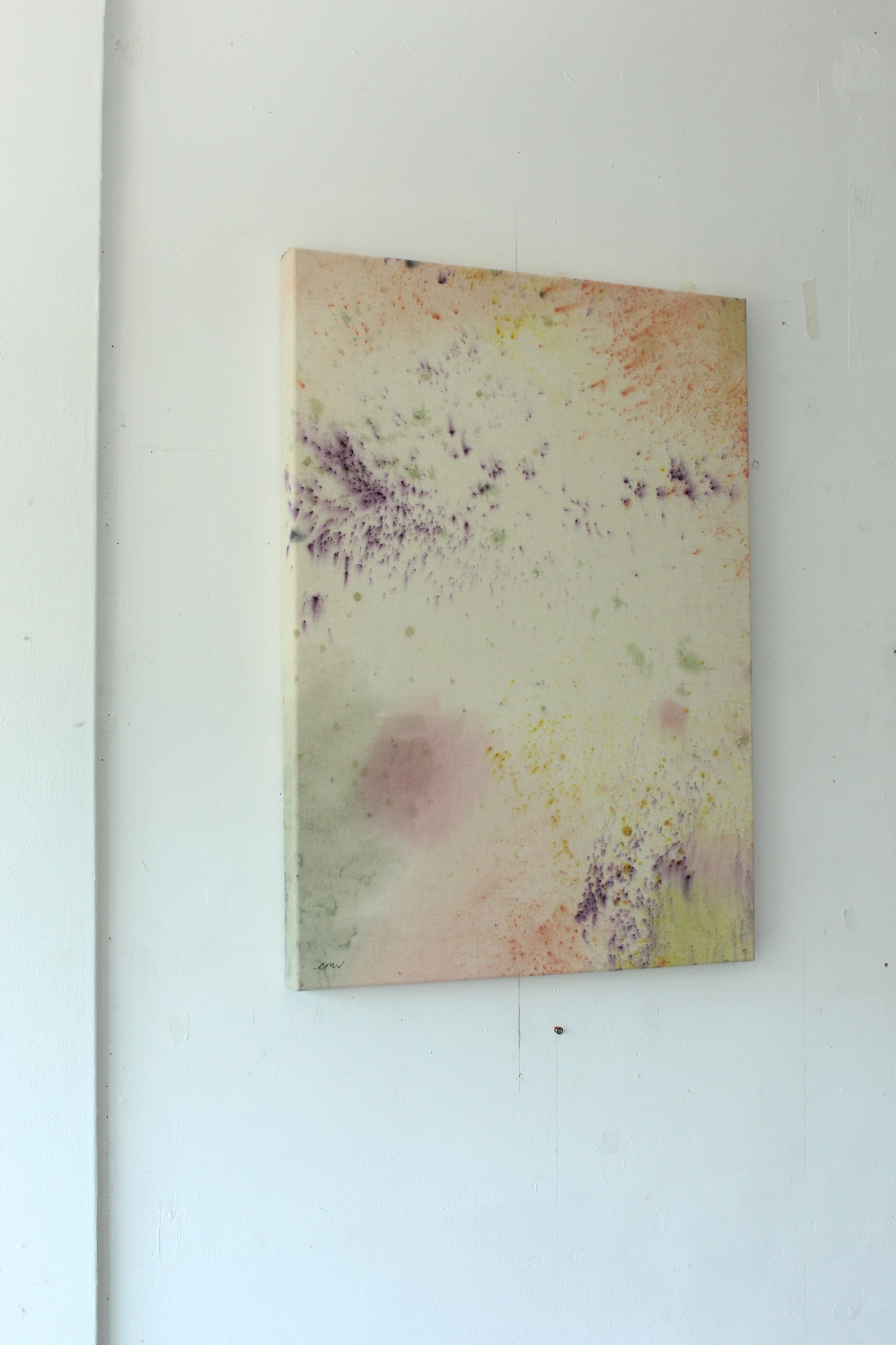 Ellen Williams / Soft Focus