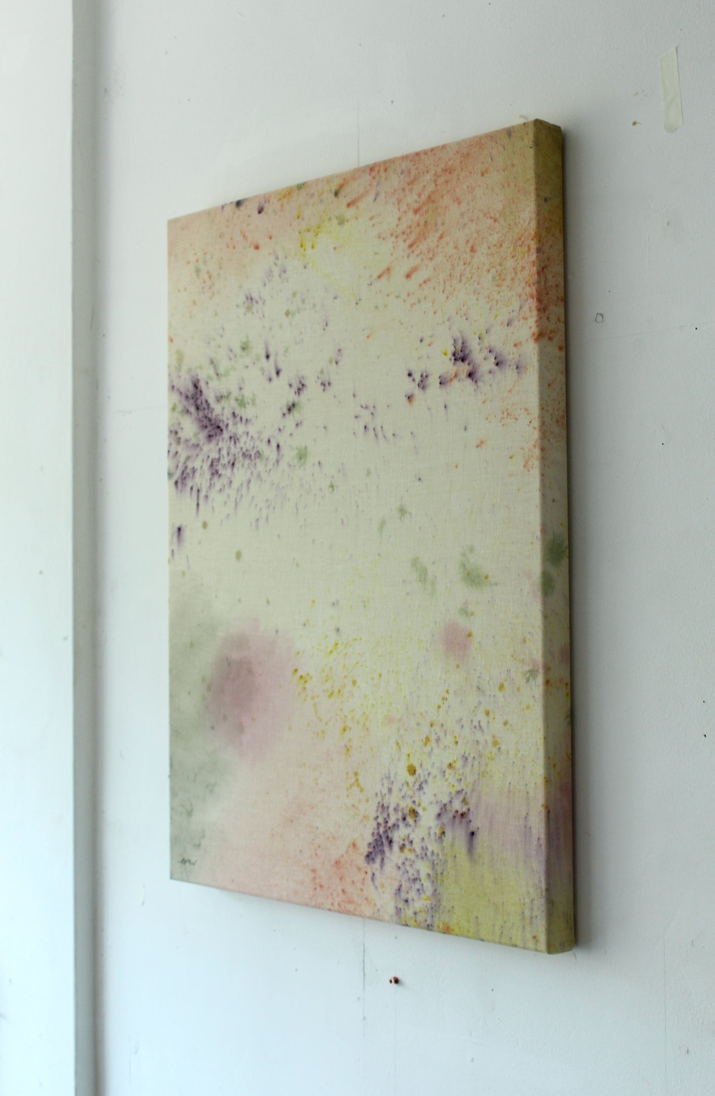 Ellen Williams / Soft Focus