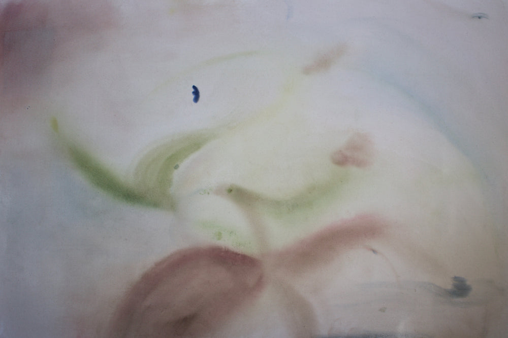 Arlina Cai / Stargazer