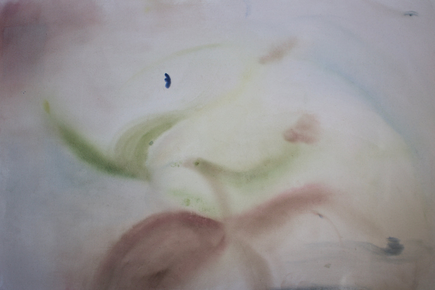 Arlina Cai / Stargazer