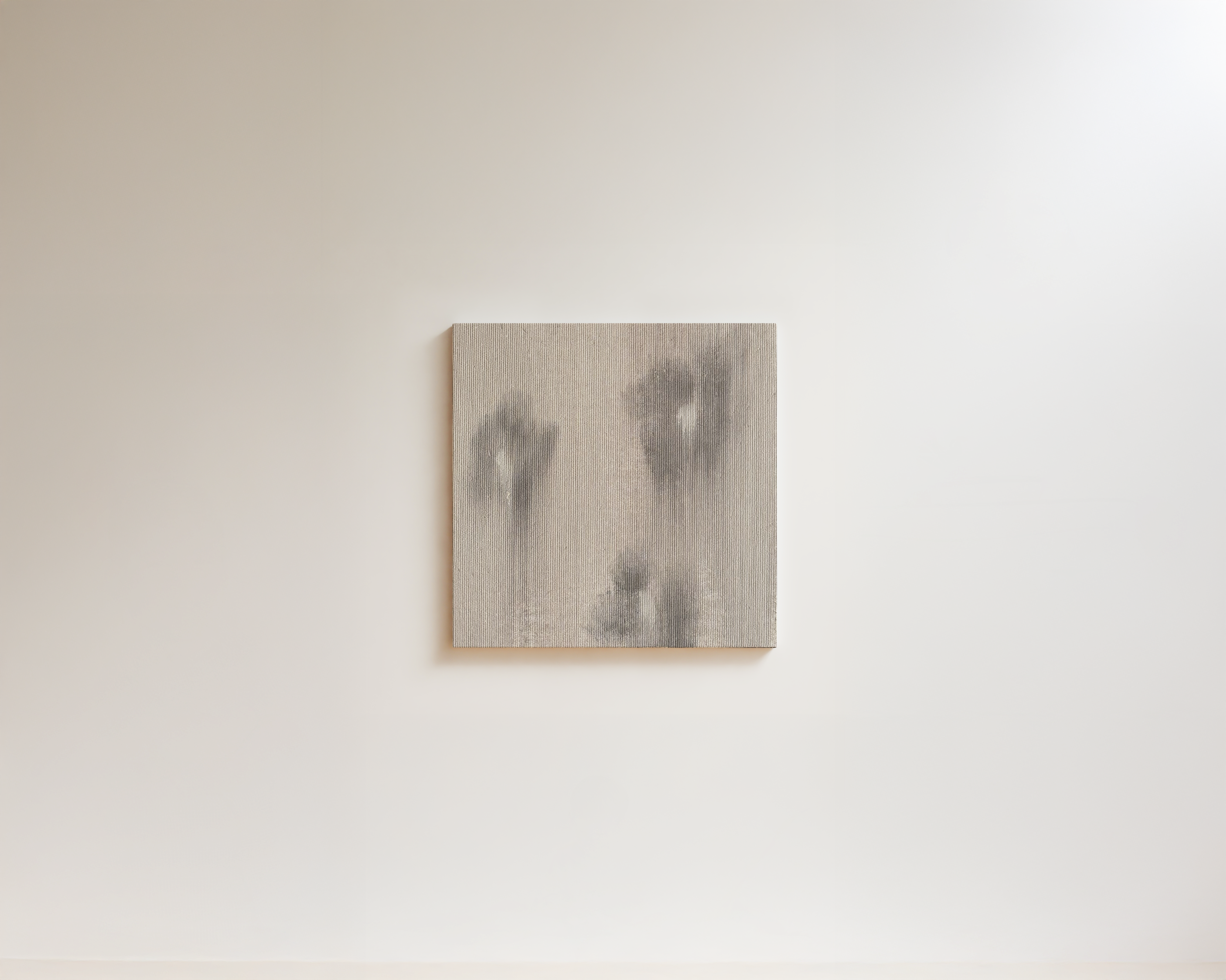 Natalia Nicole Rodriguez / Sueños Congelados