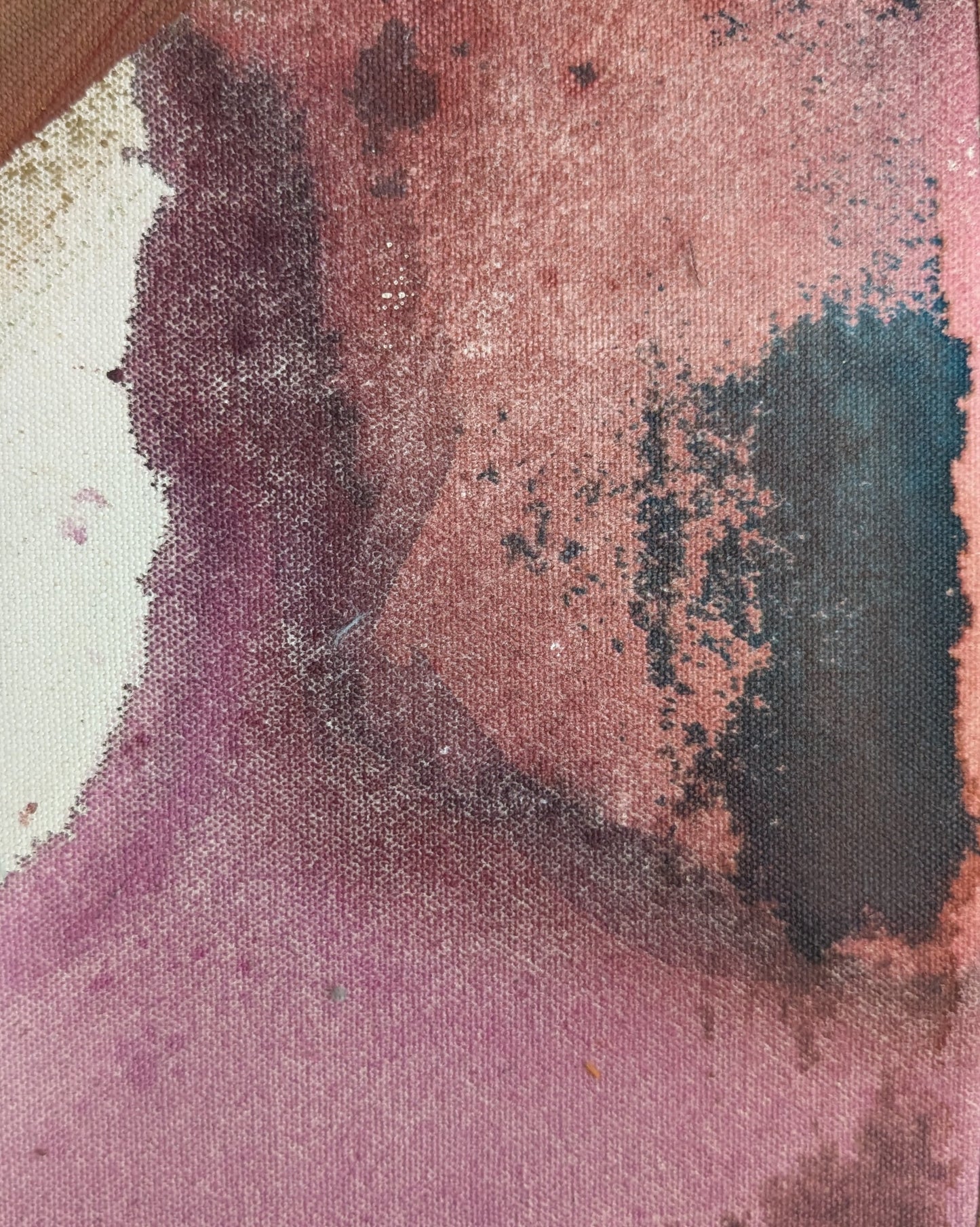 Nicole Young / Untangled