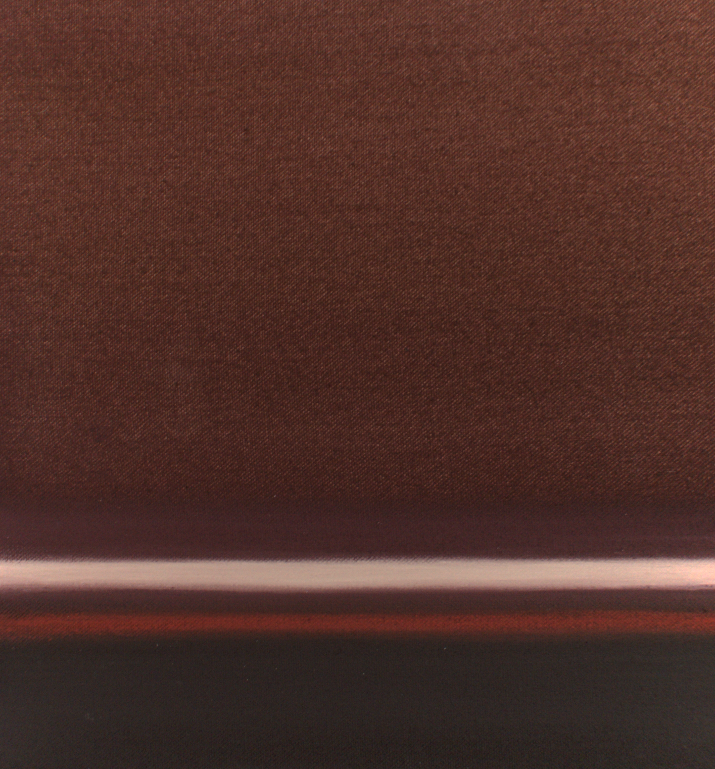 Ali Pilli / You Could Drape Yourself in Velvet