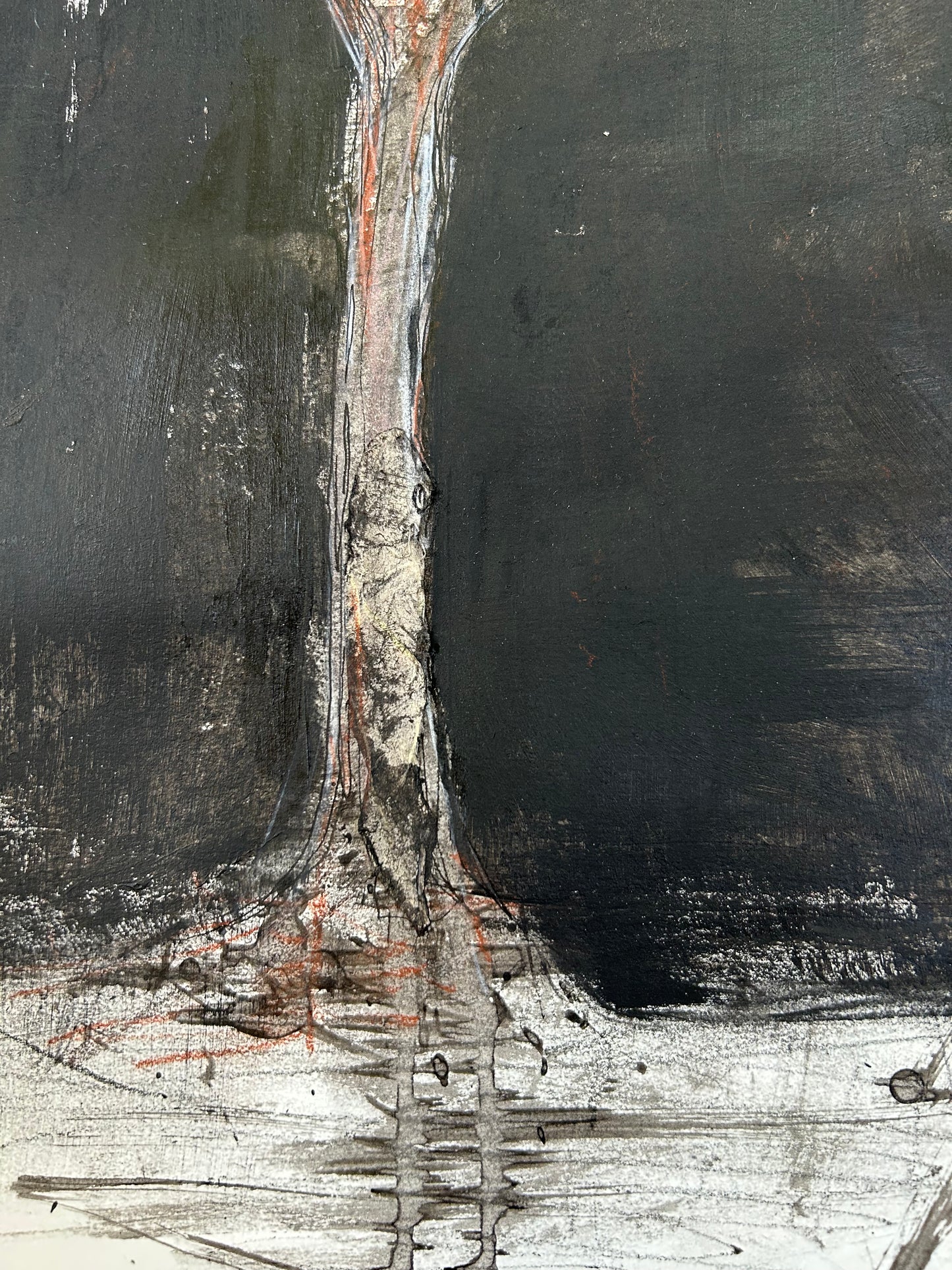 Anji Woodley / A Walk To The Grandfather Tree 02