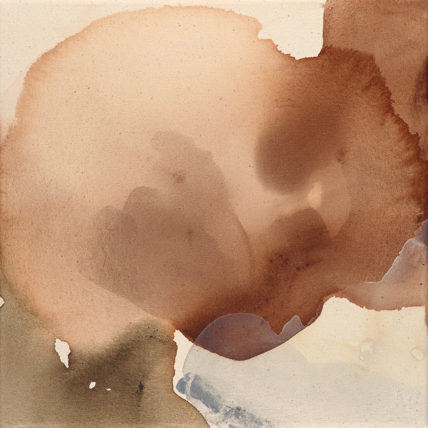 Tannis Marshall / Study