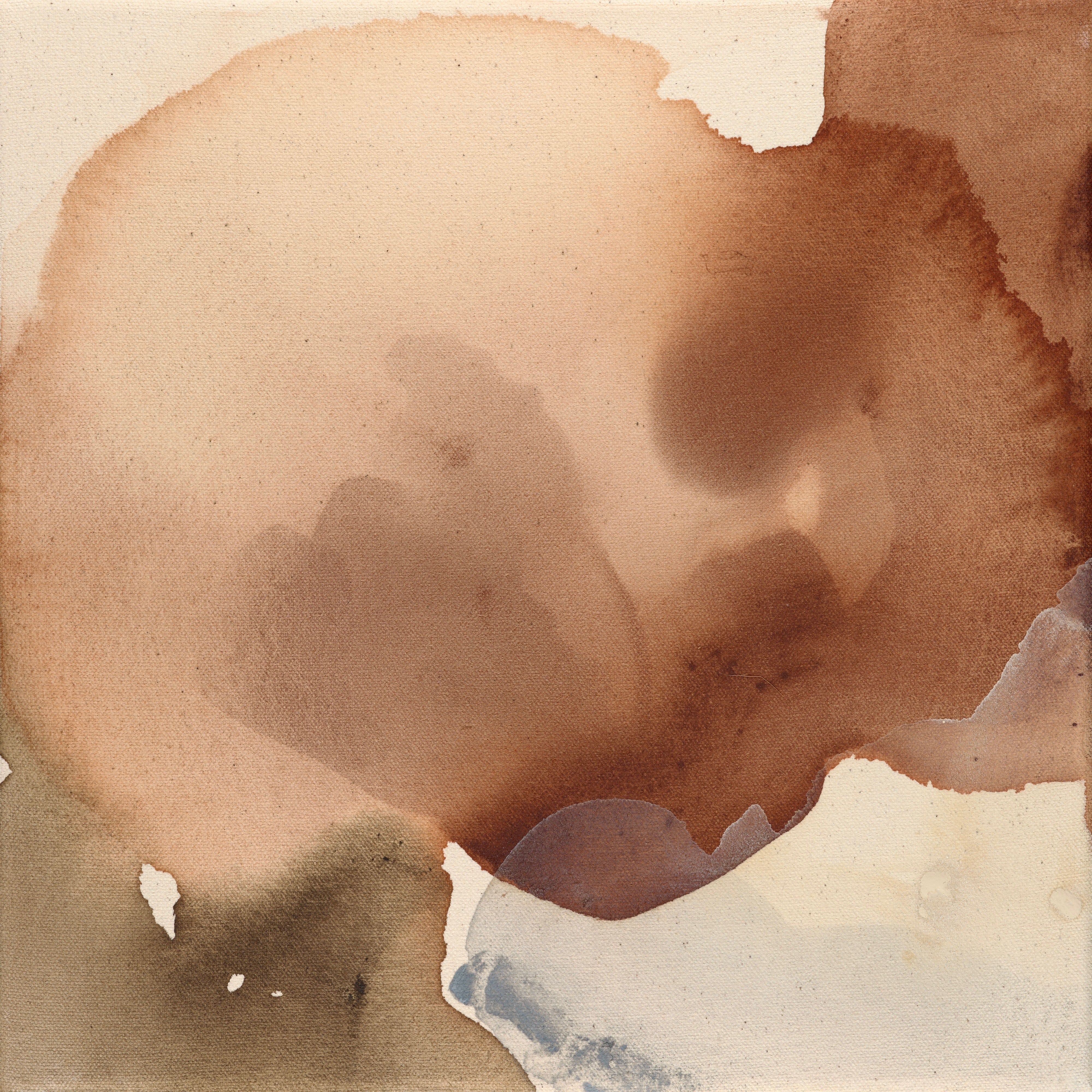 Tannis Marshall / Study