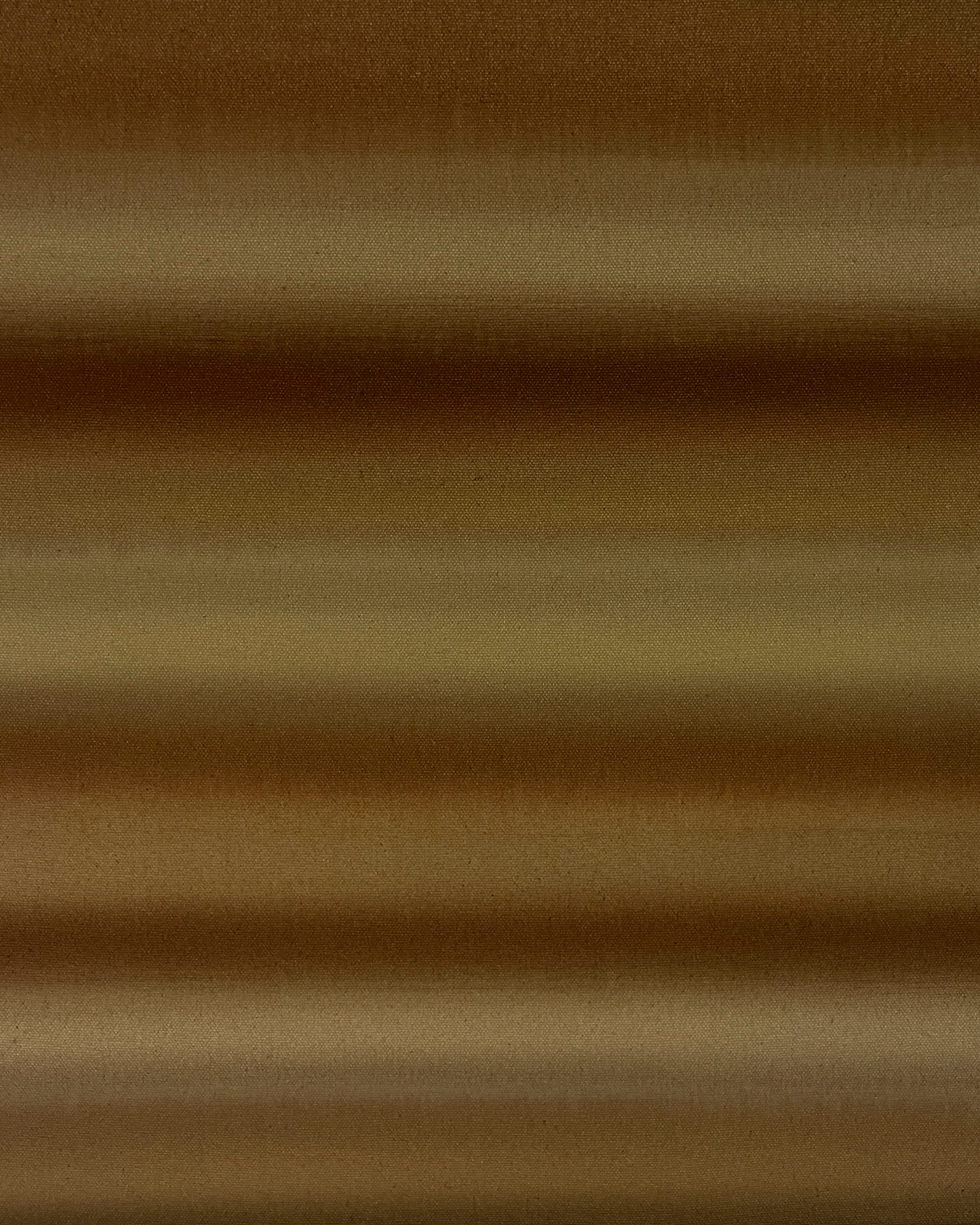 Ali Pilli / Sweetly Wild