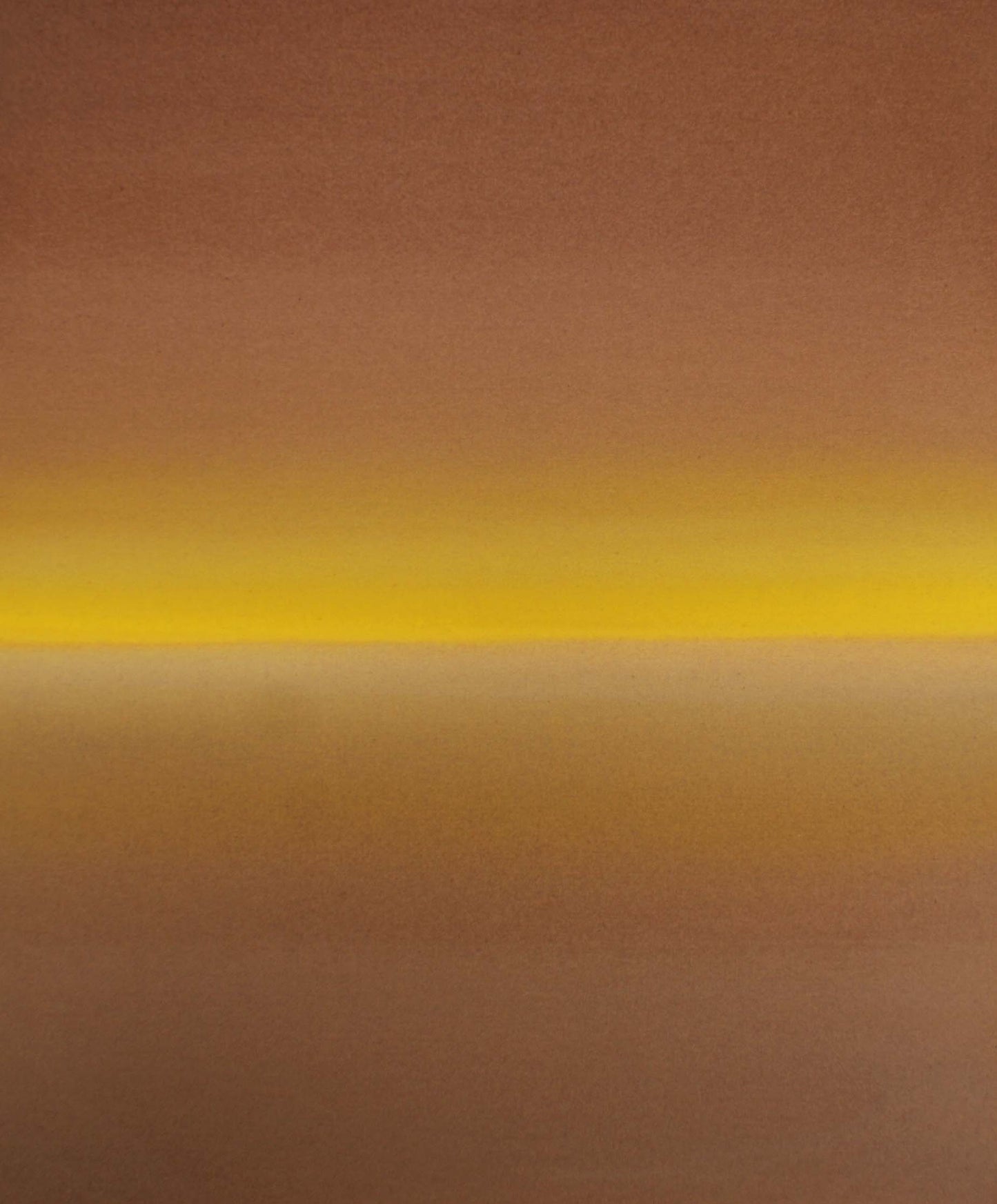 Ali Pilli / Wild Flowers on a Wooden Table