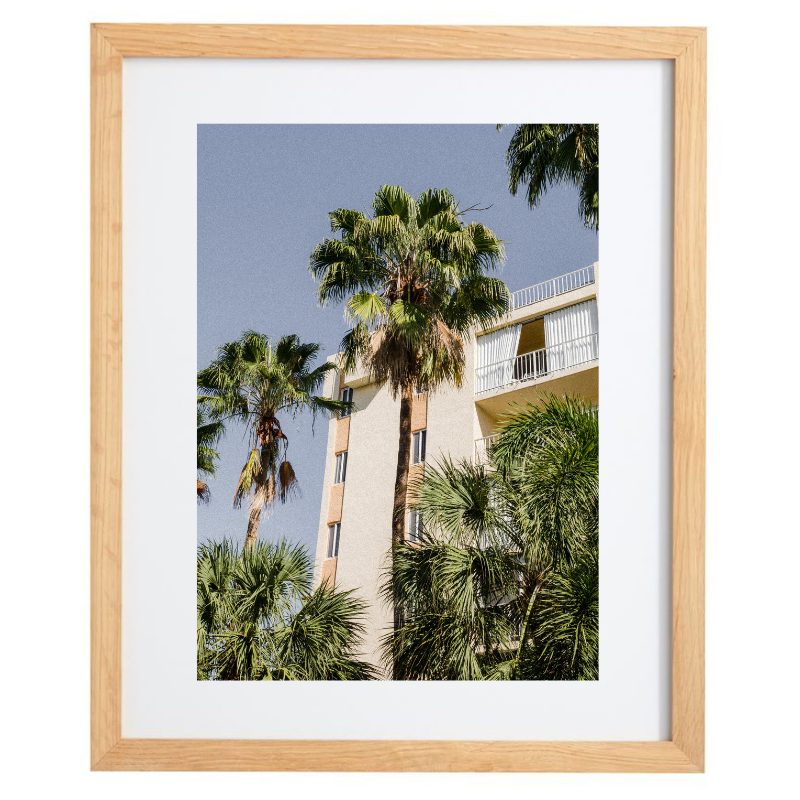 Palm tree photography in a natural frame