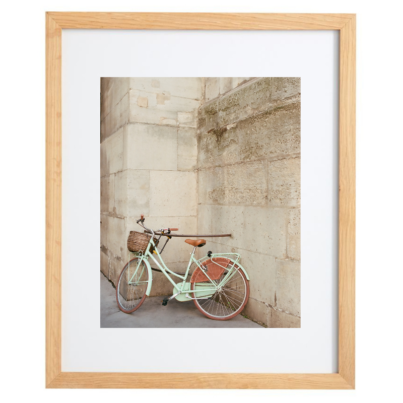 Bike in Paris photography in a natural frame