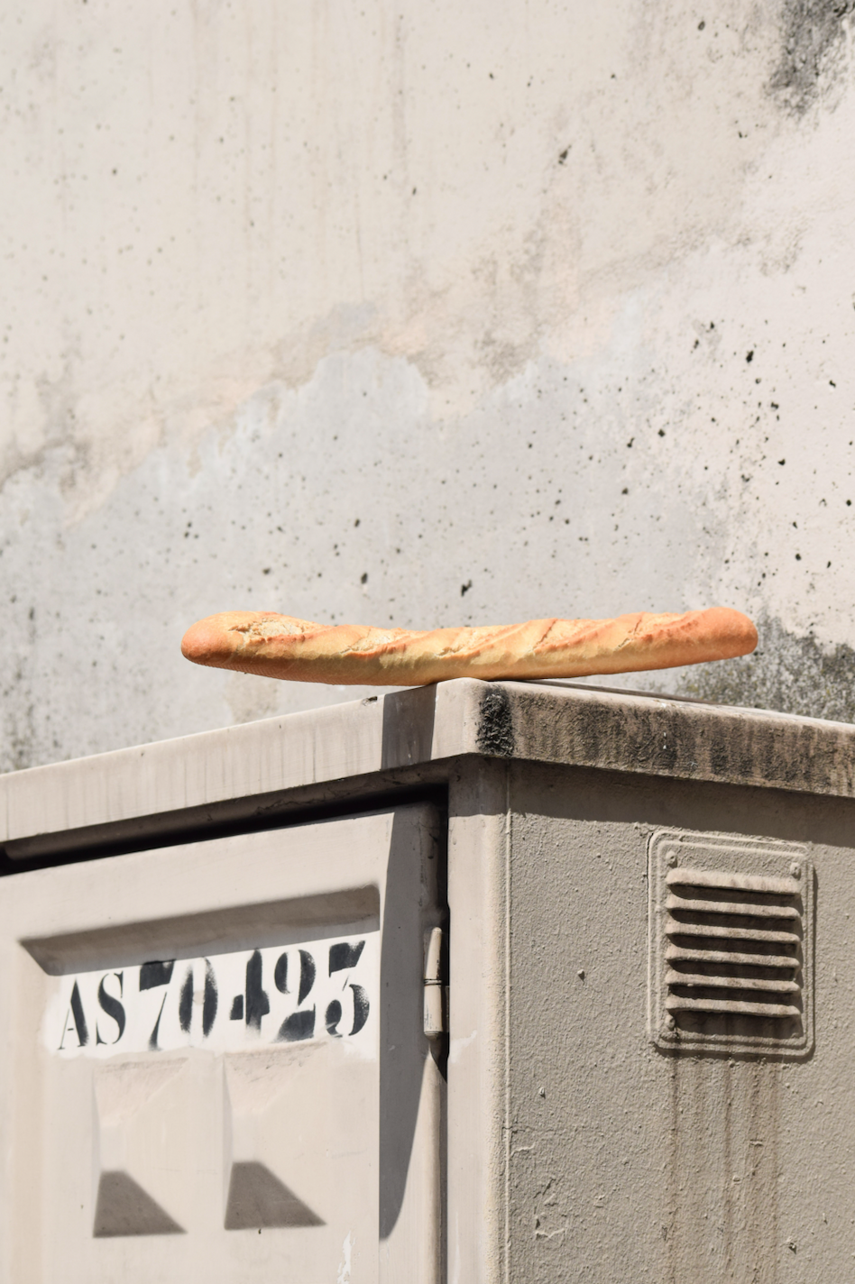 Baguette photography
