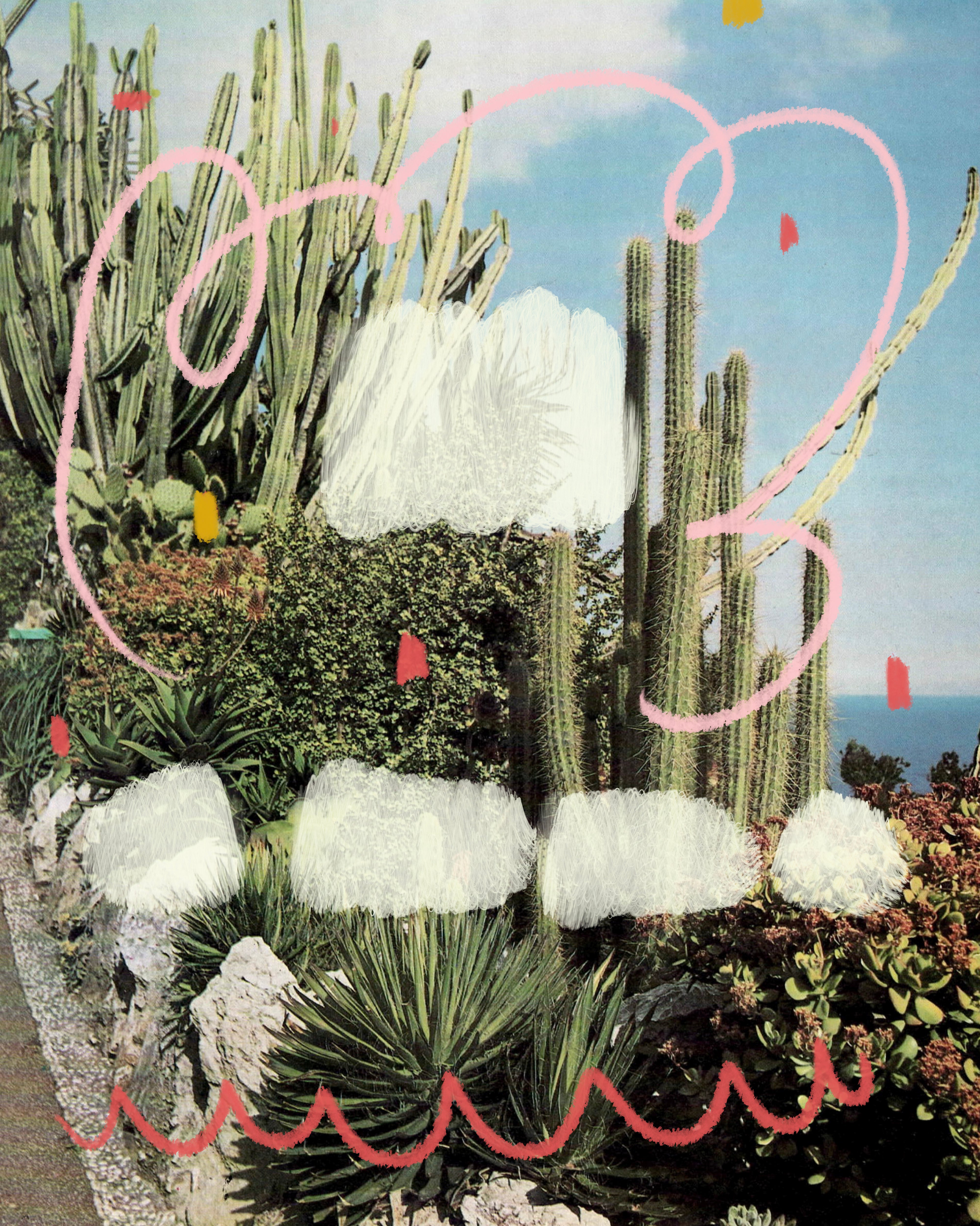 Succulent photography with painting over top