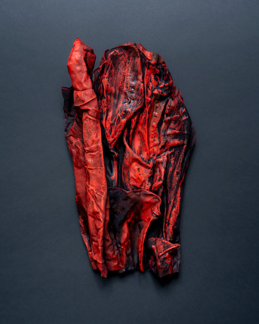 Anji Woodley / Silk Sculpture IV