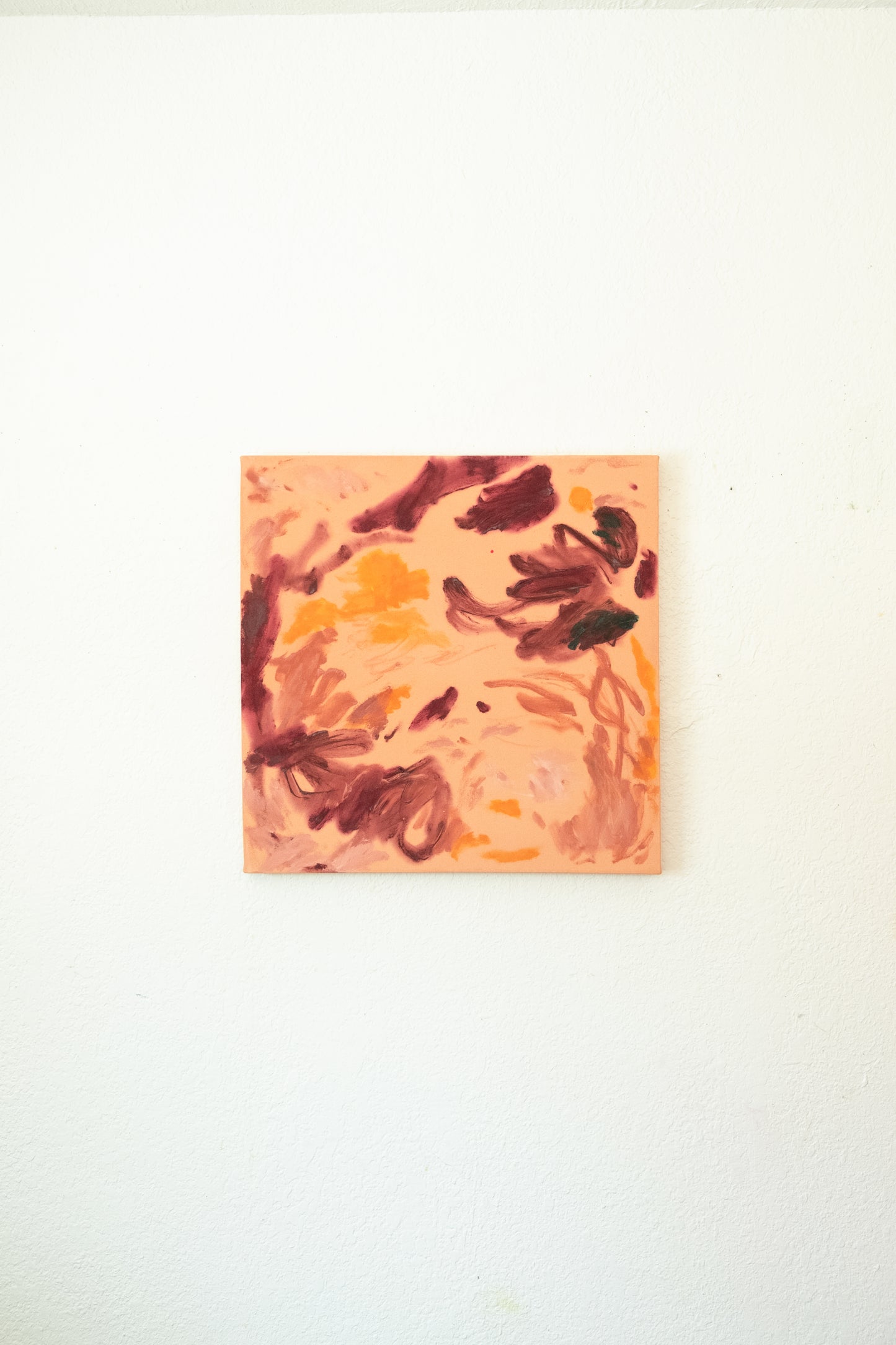 Anna Núñez / A Piece Of Paradise