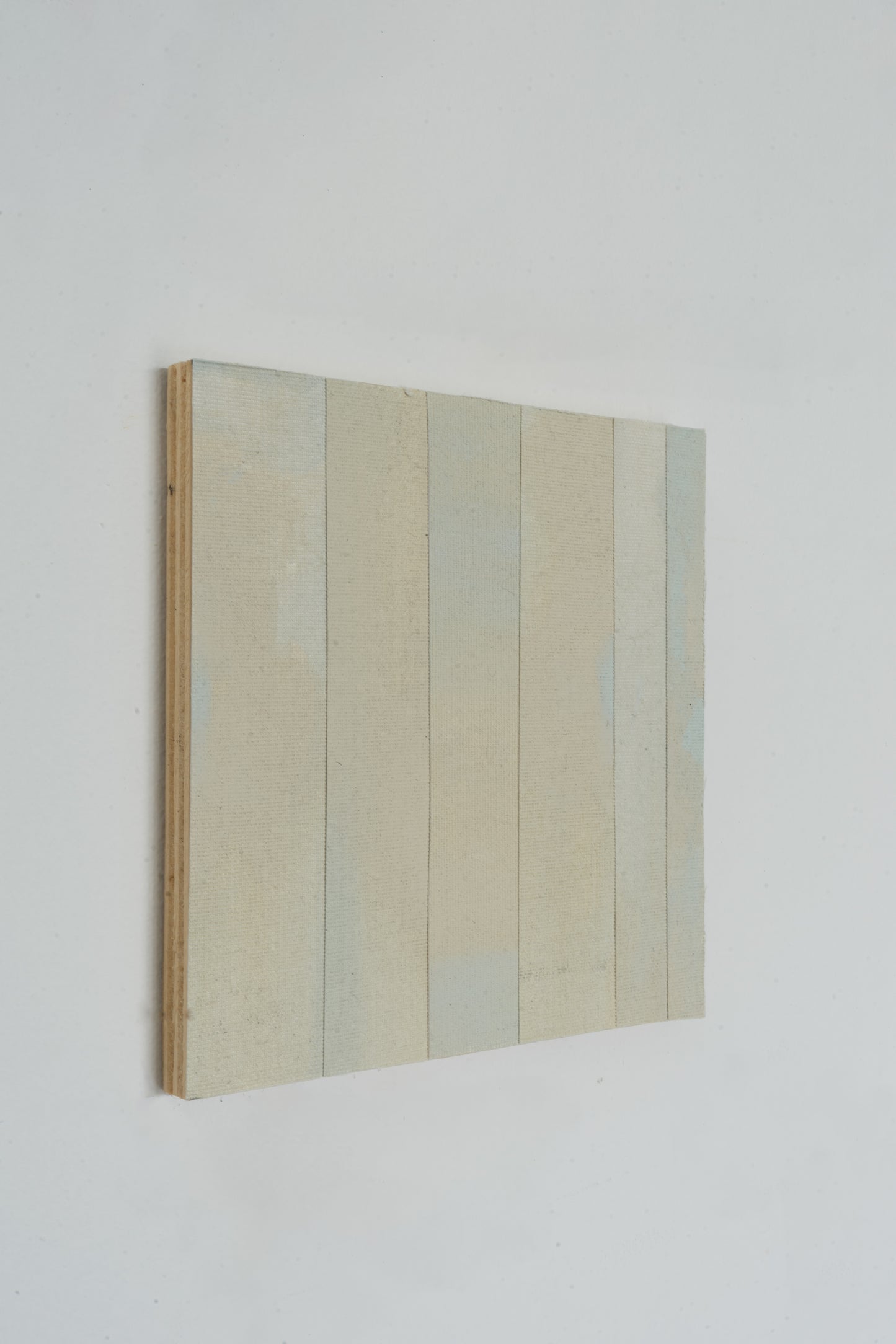 Natalia Nicole Rodriguez / Déjà Vu