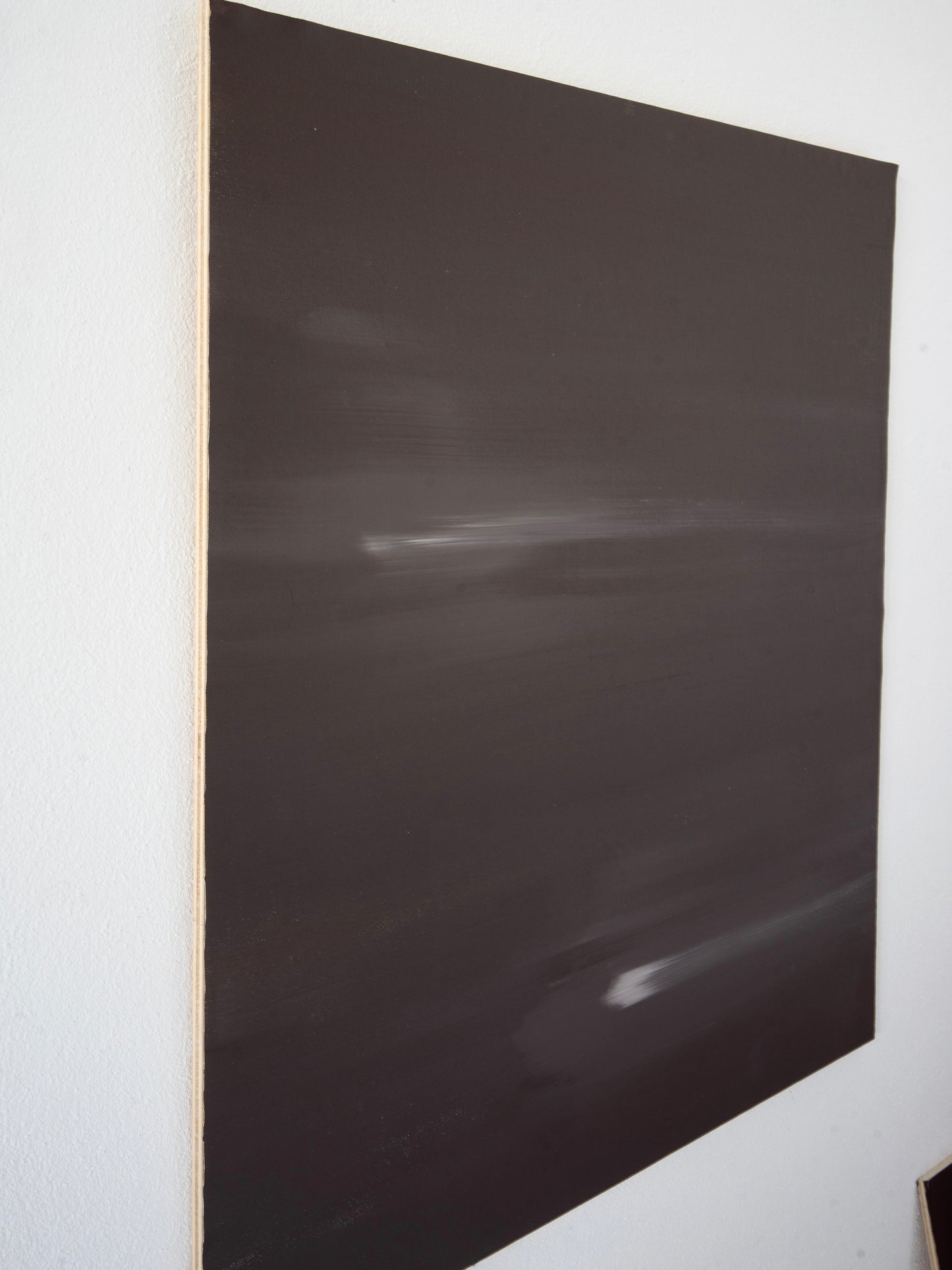 Natalia Nicole Rodriguez / Dreaming of What it Could Be