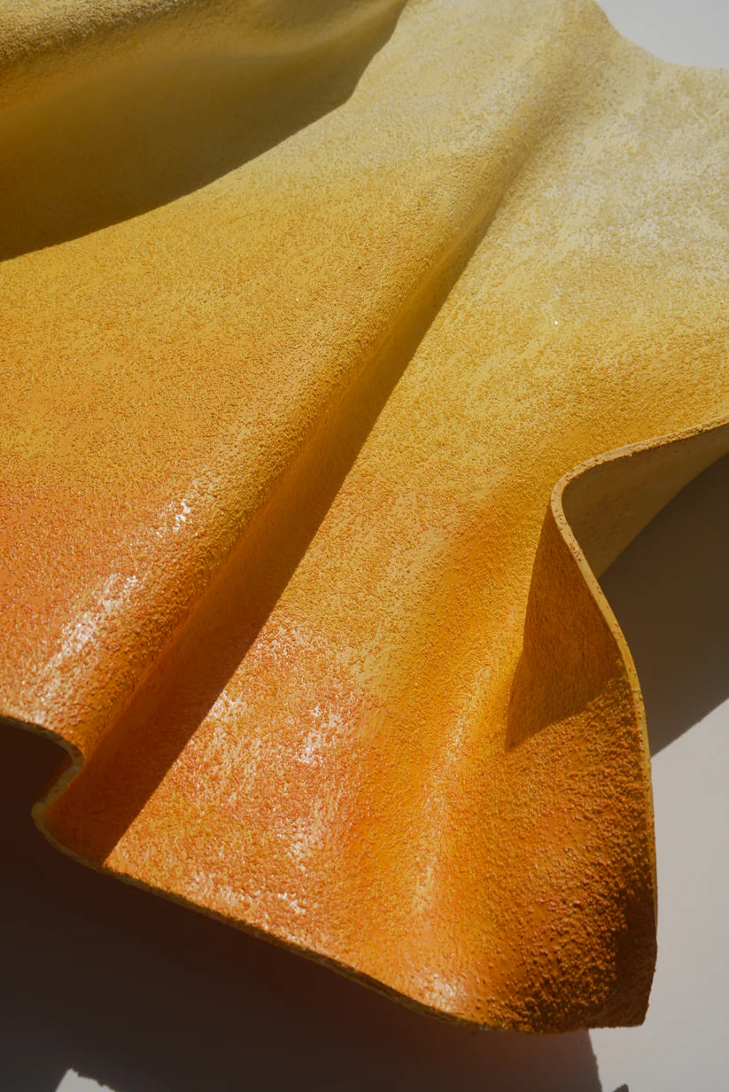 Gbemi Adesanya / Golden Hour