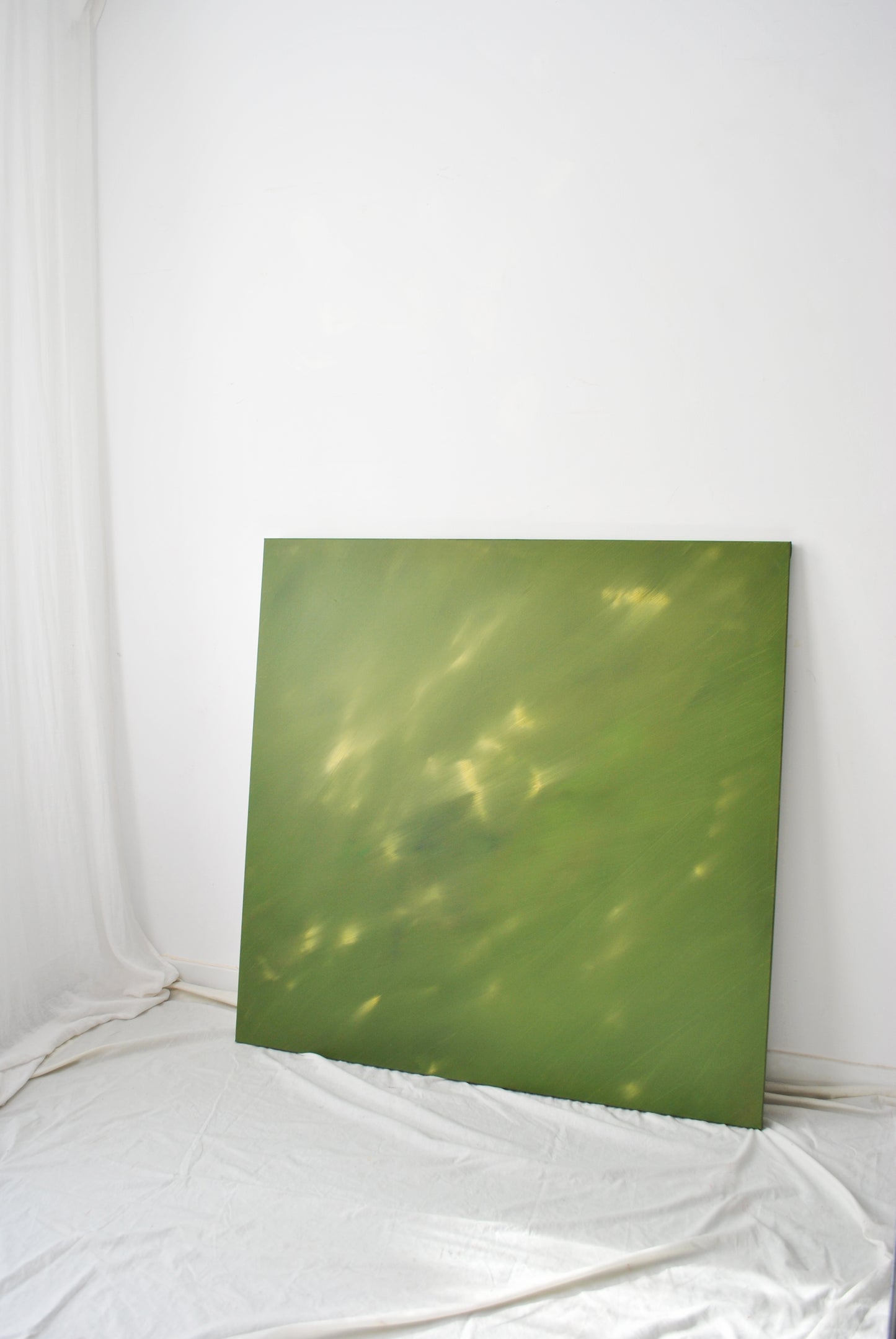 Paula Cabral Muchacho / A través de ti