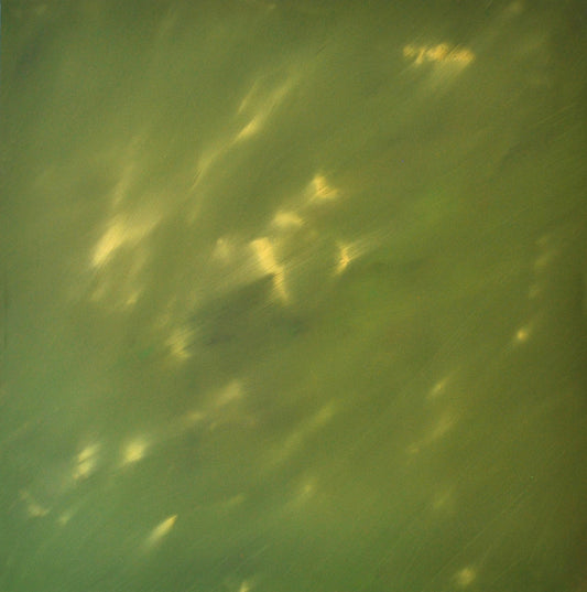 Paula Cabral Muchacho / A través de ti