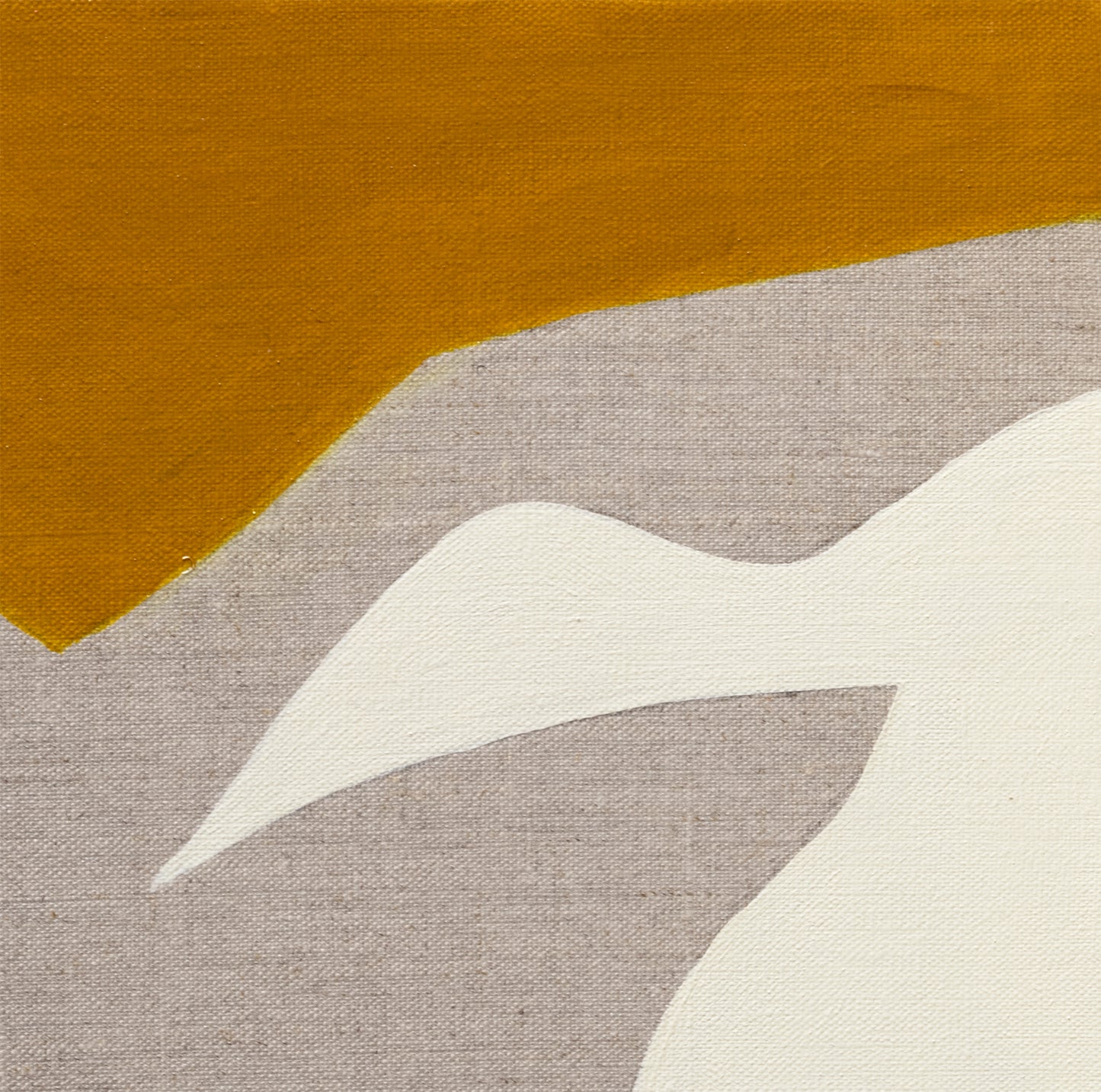 Keren Toledano / Sagitta