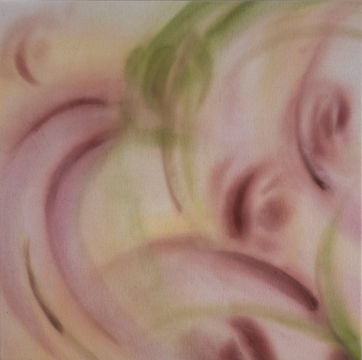 Aly Louis / Flowers From the Grocery Store