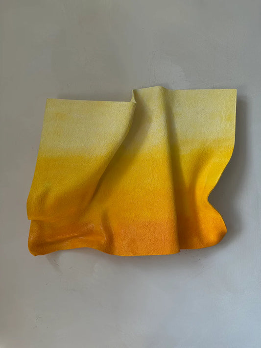 Gbemi Adesanya / Golden Hour