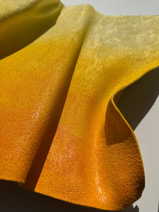 Gbemi Adesanya / Golden Hour