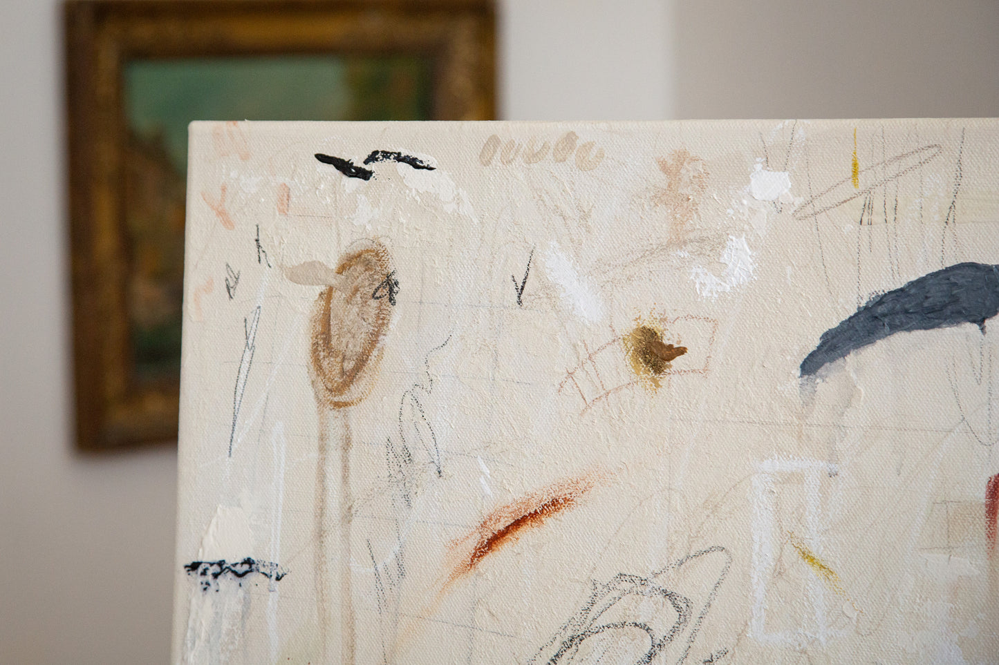 Margot Sinclair / Fleurs Sèches