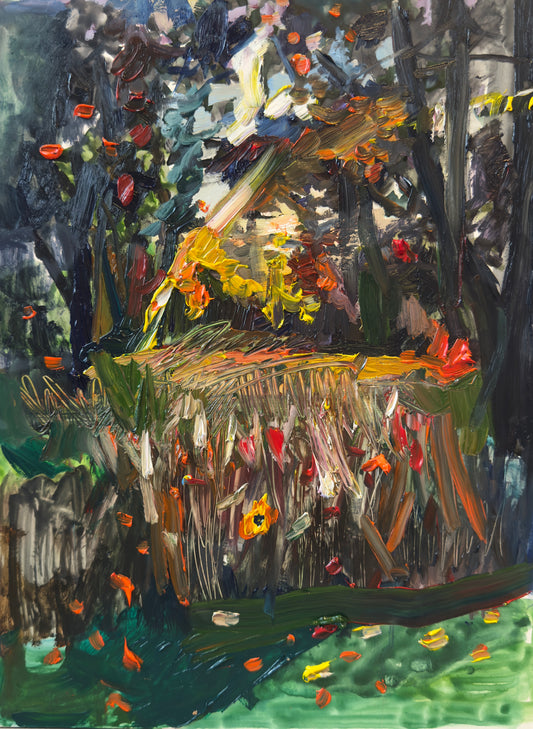 Alison Kruse / Cedar in October