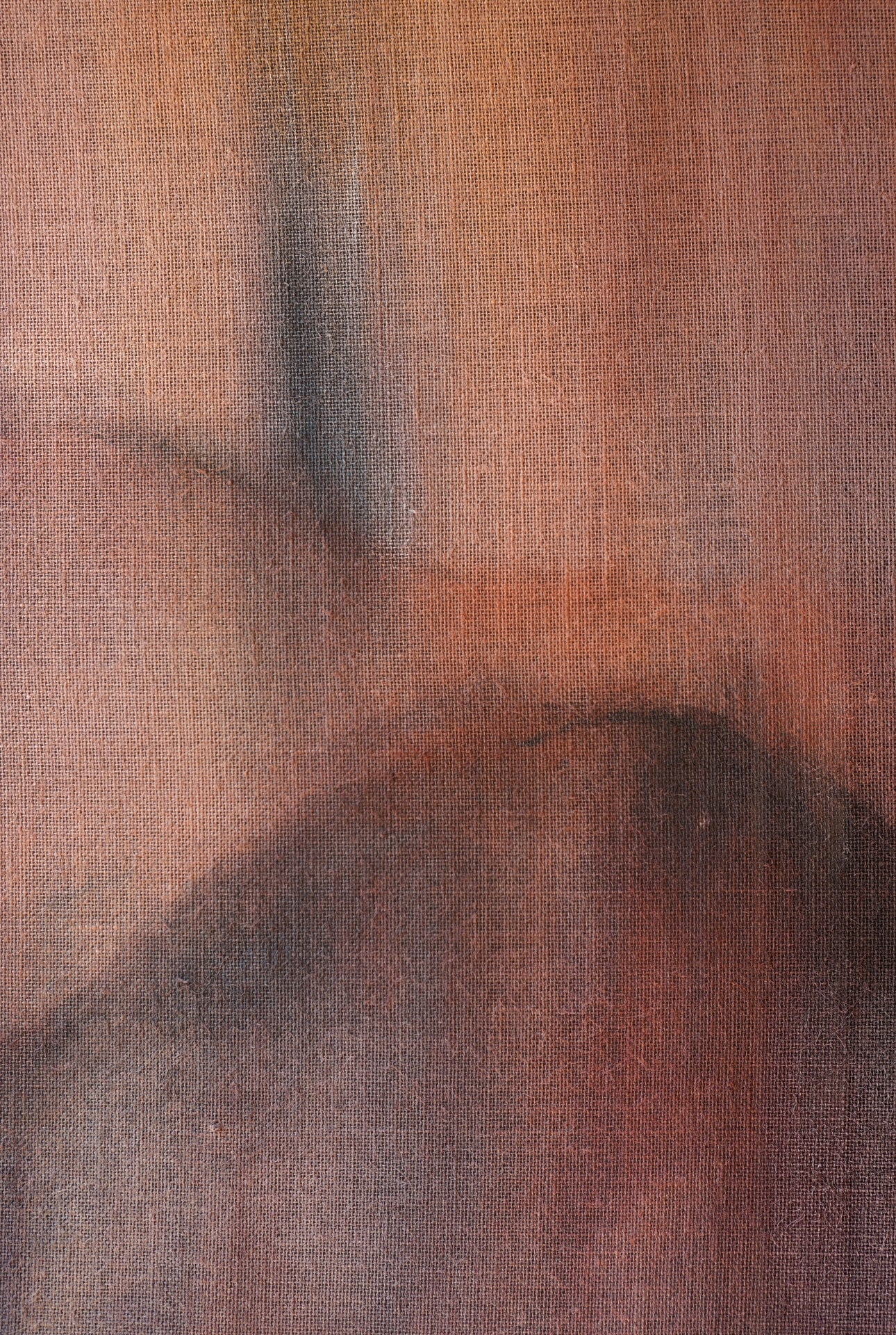 Andrea Solaja / Noctiluca 4
