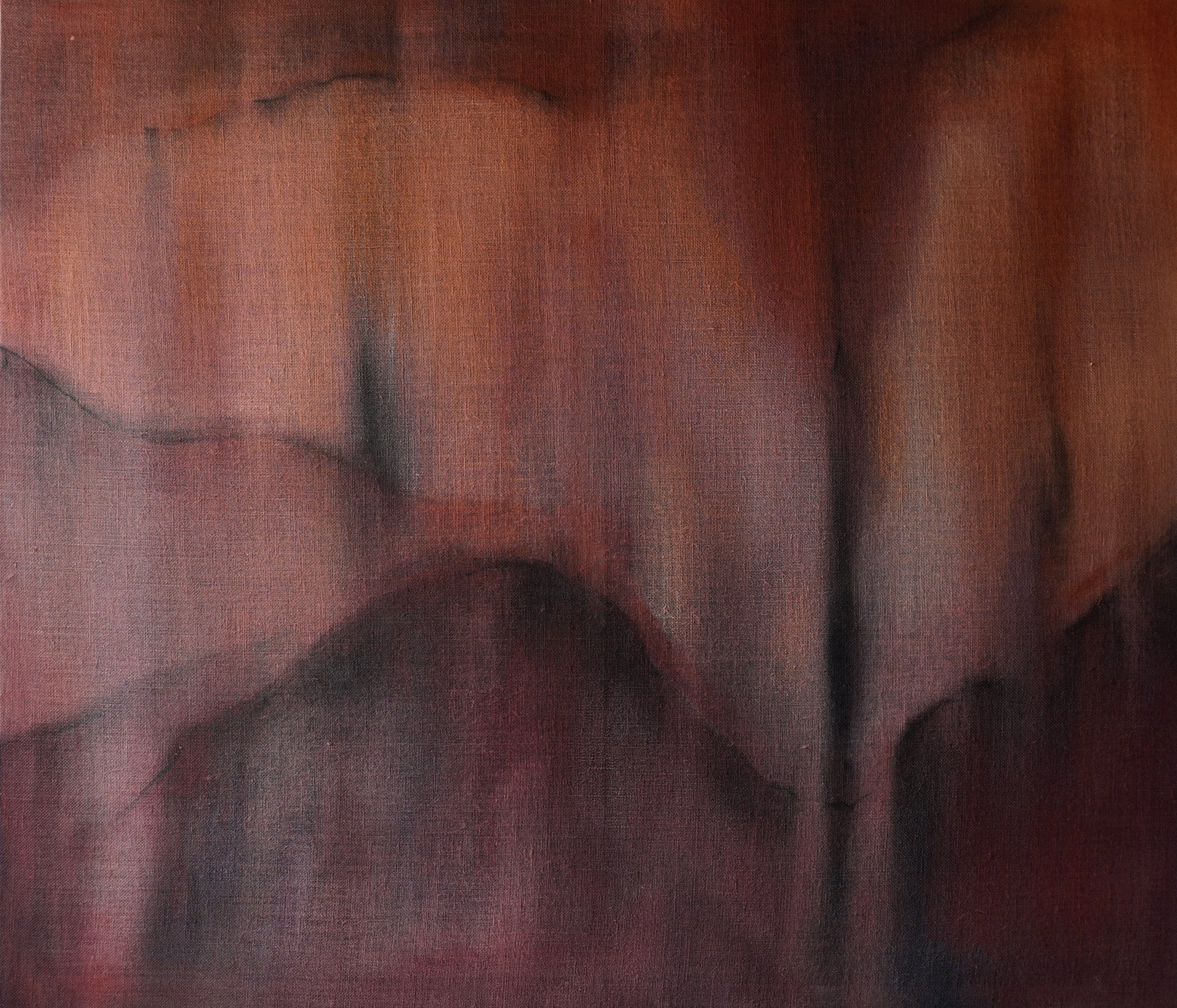 Andrea Solaja / Noctiluca 4