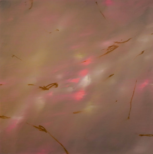 Paula Cabral Muchacho / No Plan Will Do