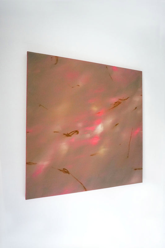 Paula Cabral Muchacho / No Plan Will Do