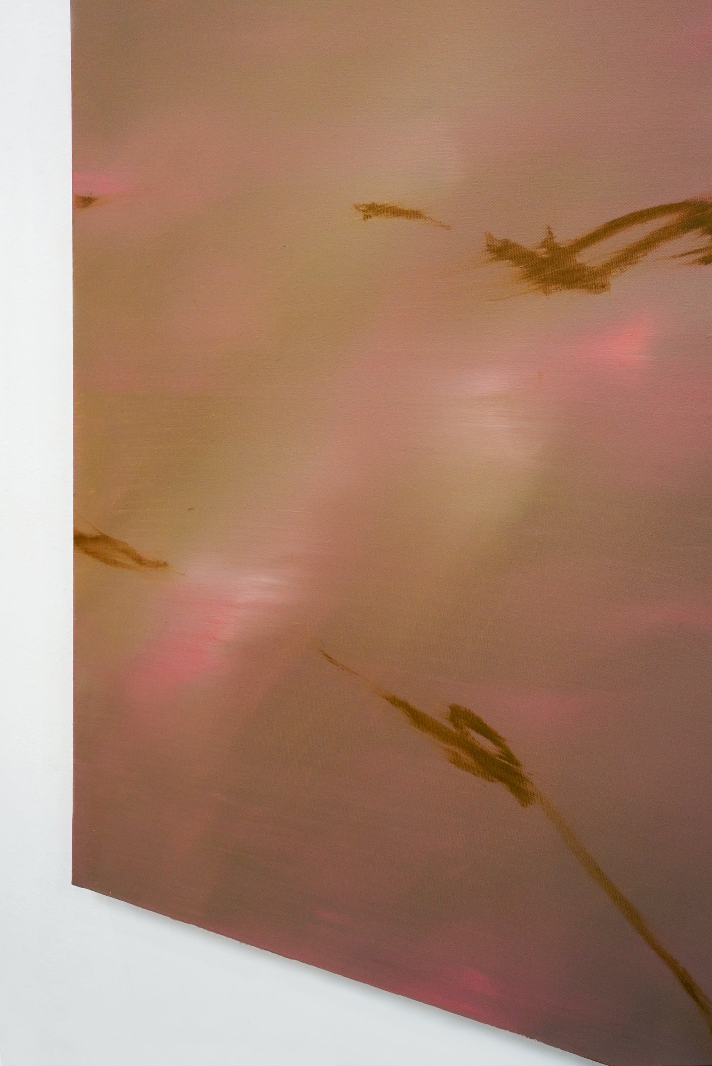 Paula Cabral Muchacho / No Plan Will Do