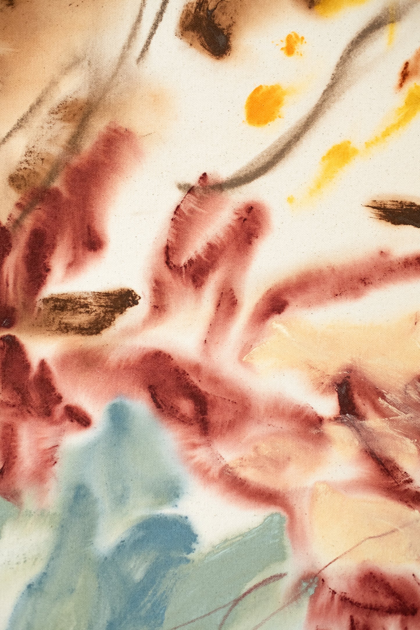 Anna Núñez / Nothing to Lose