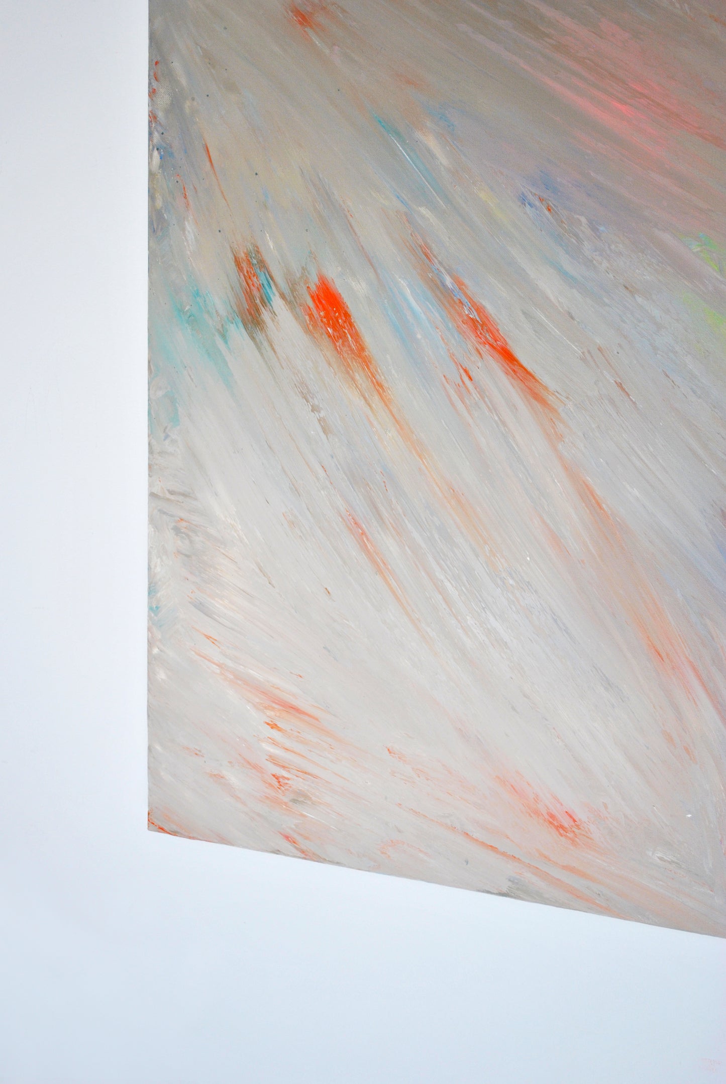 Paula Cabral Muchacho / Flowing in All Directions