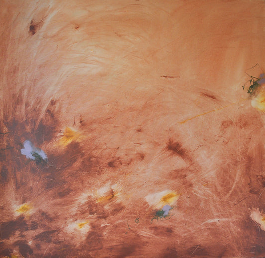 Paula Cabral Muchacho / Sometimes We Get Carried Away, and That's Ok