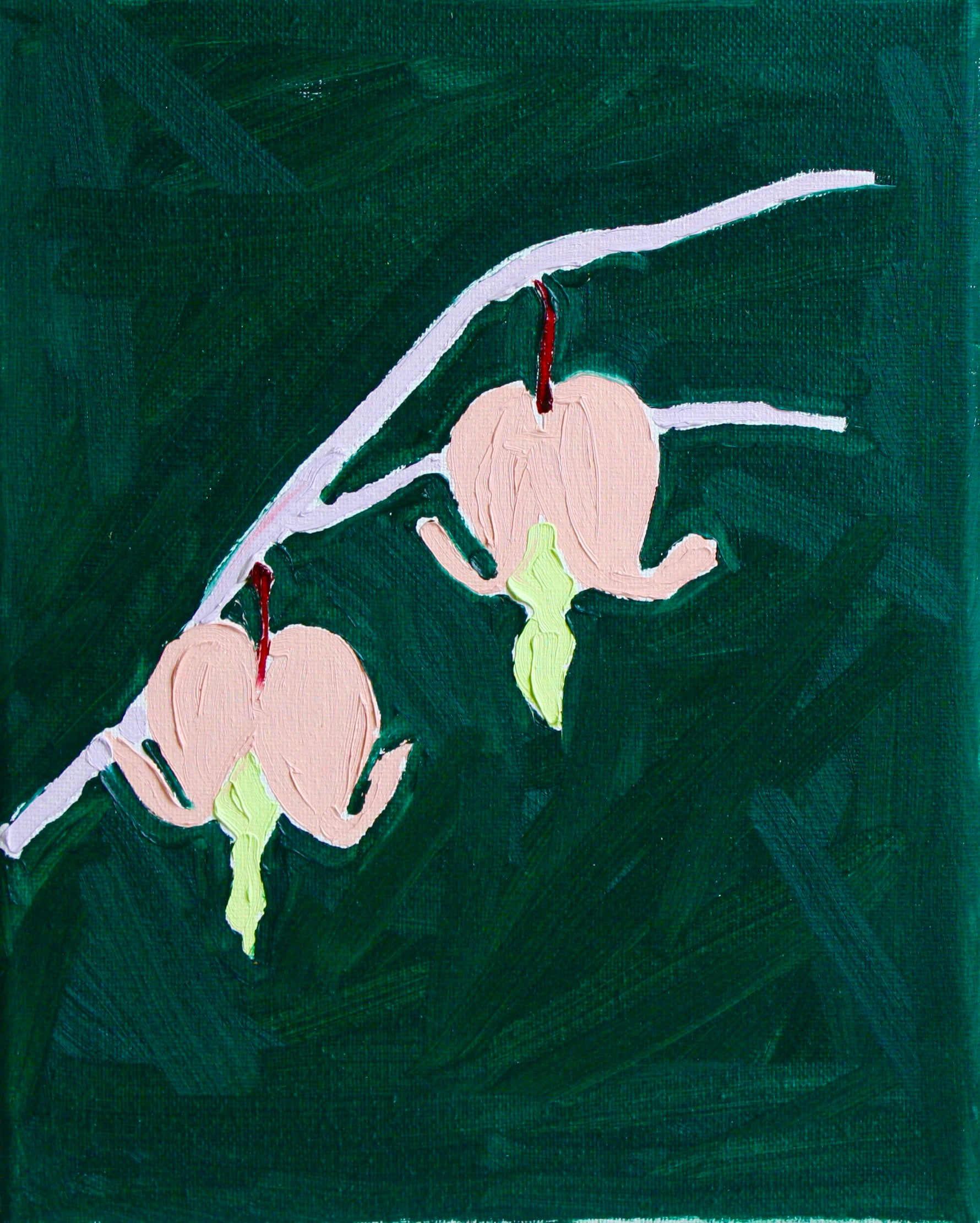 Hayley Axelrad / Peach Bleeding Hearts