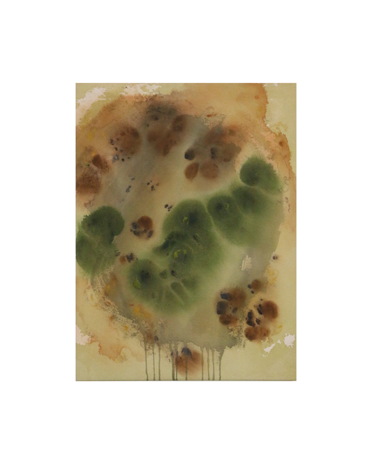 Mai Miyazaki / Wanderlust