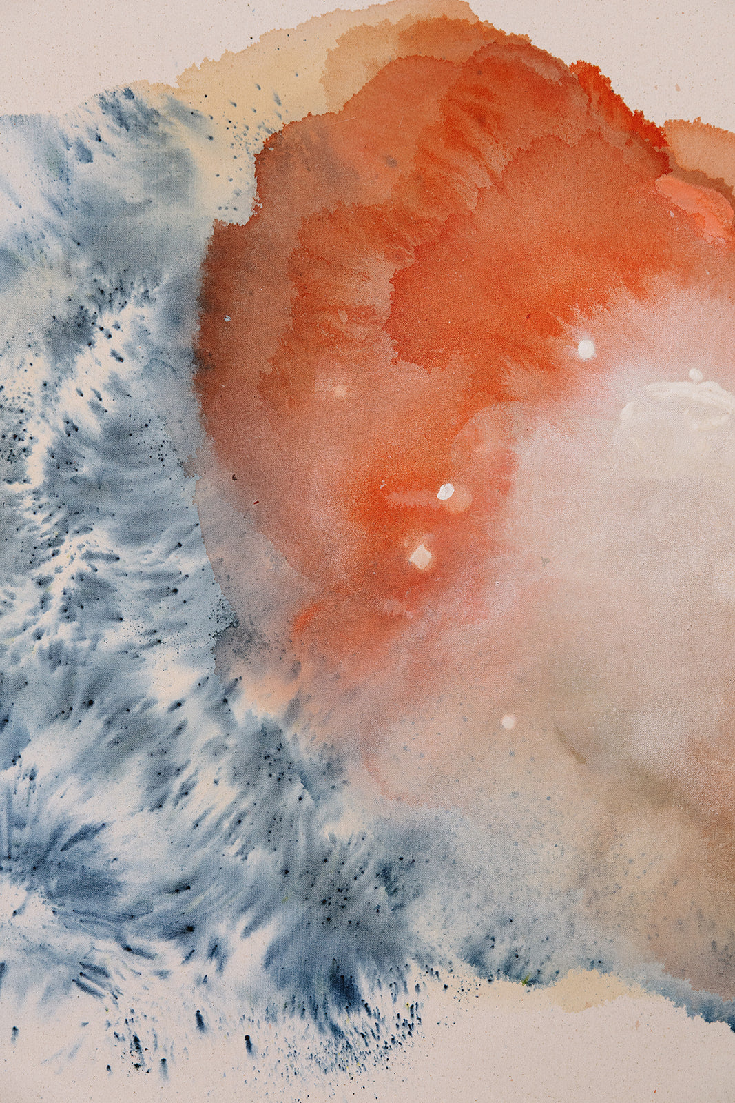 Sara Gonzalez / Scattered Light