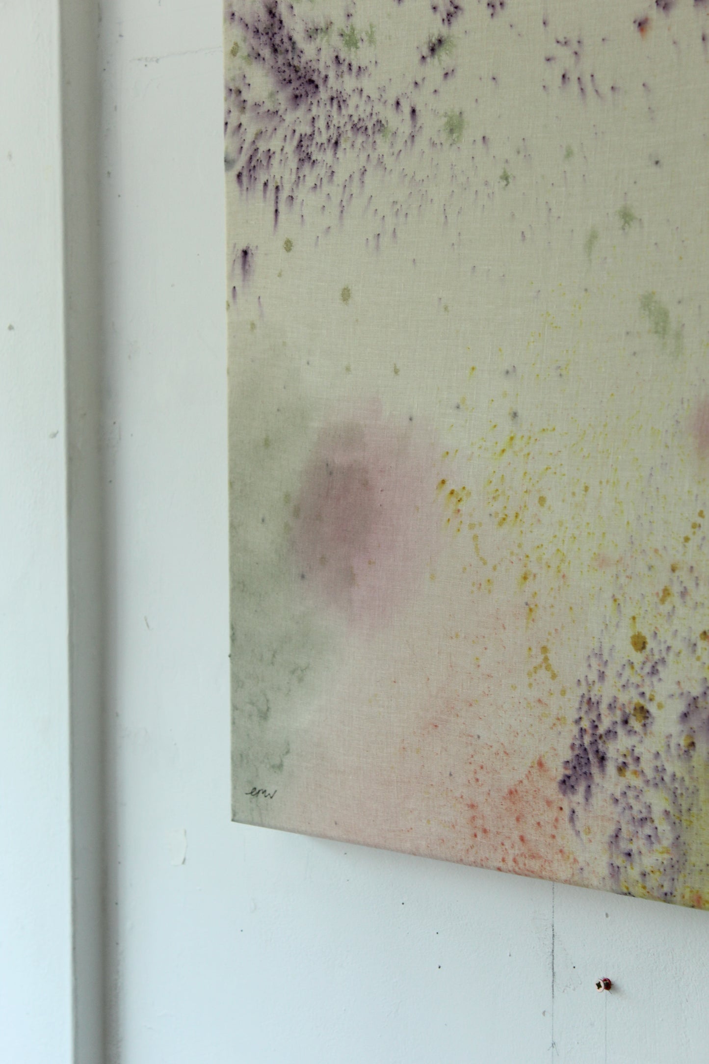 Ellen Williams / Soft Focus