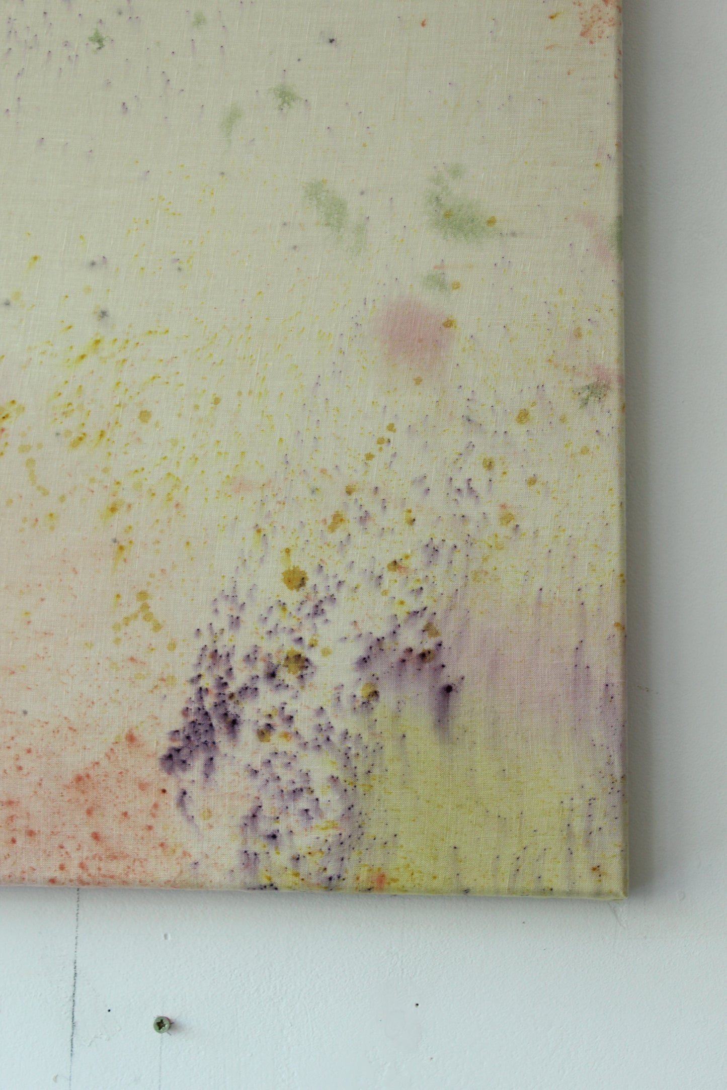 Ellen Williams / Soft Focus