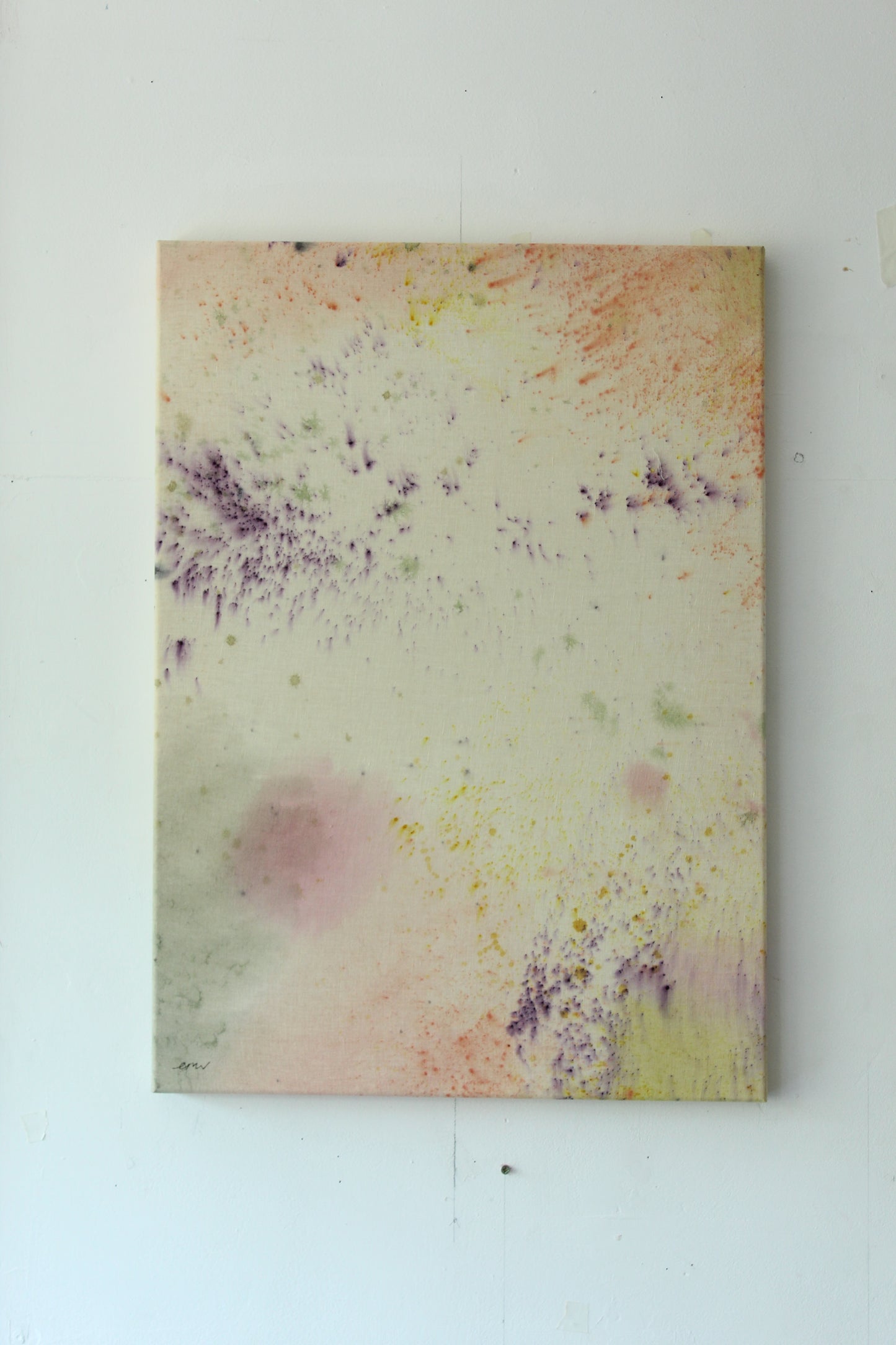 Ellen Williams / Soft Focus