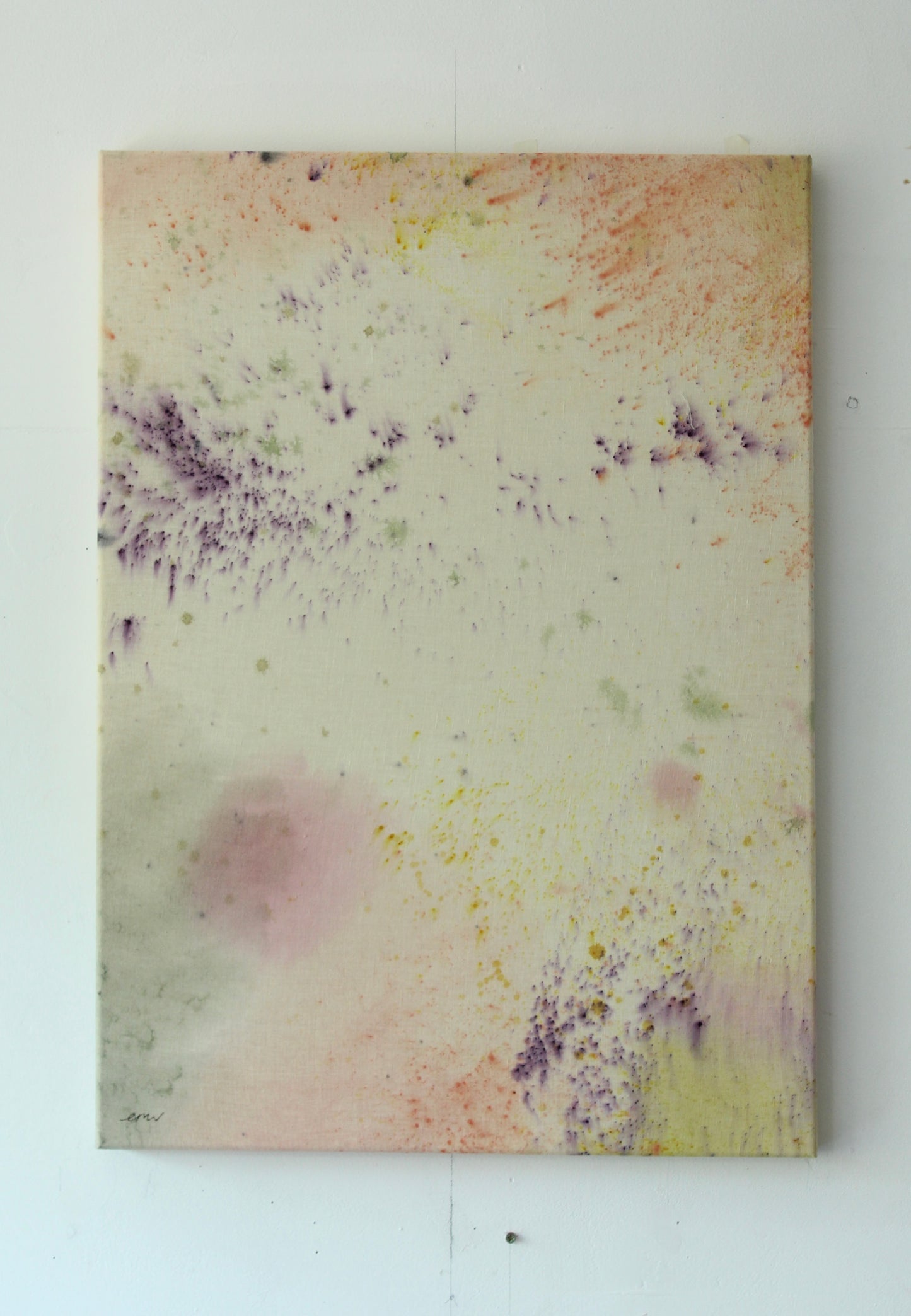 Ellen Williams / Soft Focus