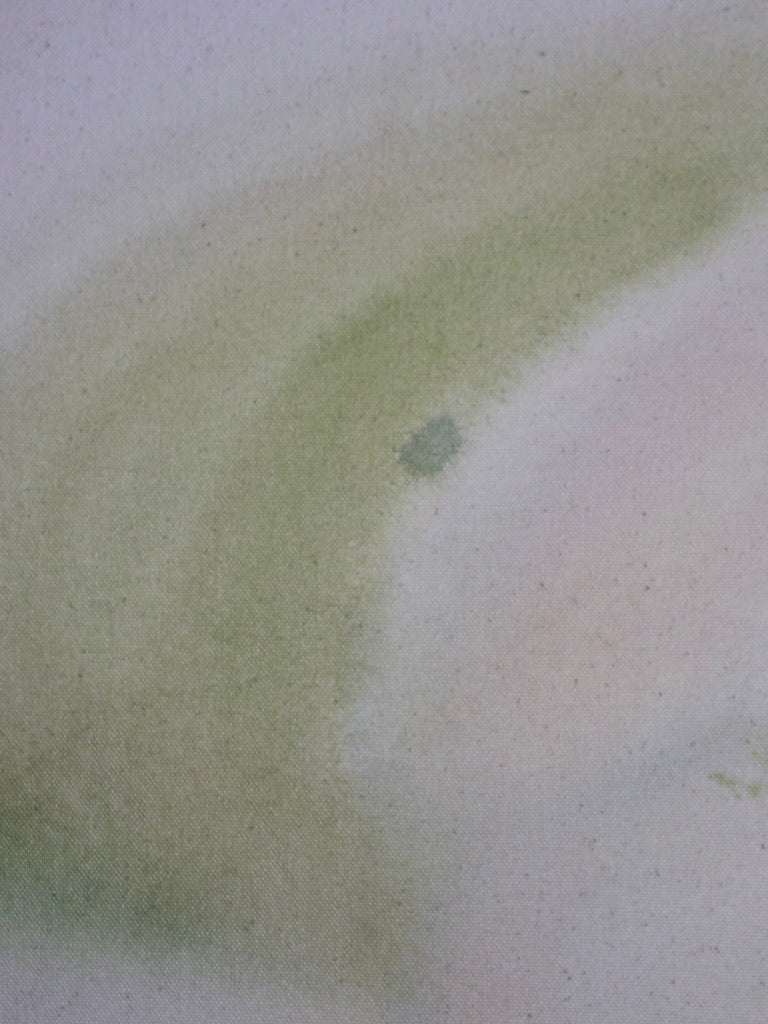 Arlina Cai / Stargazer