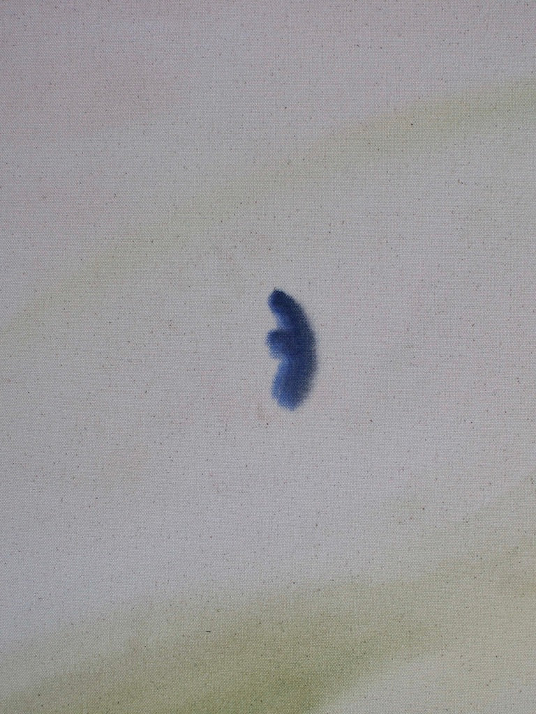 Arlina Cai / Stargazer