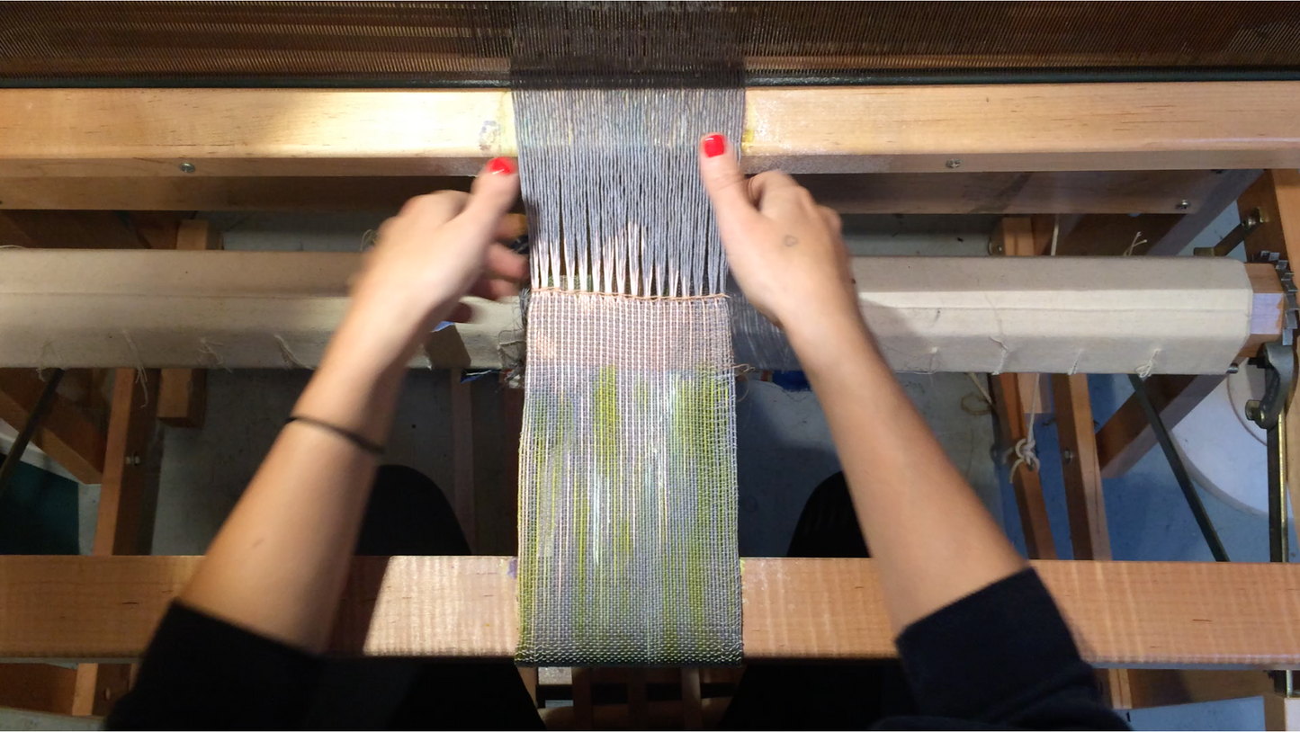 Victoria Manganiello / Study of Plywood #3