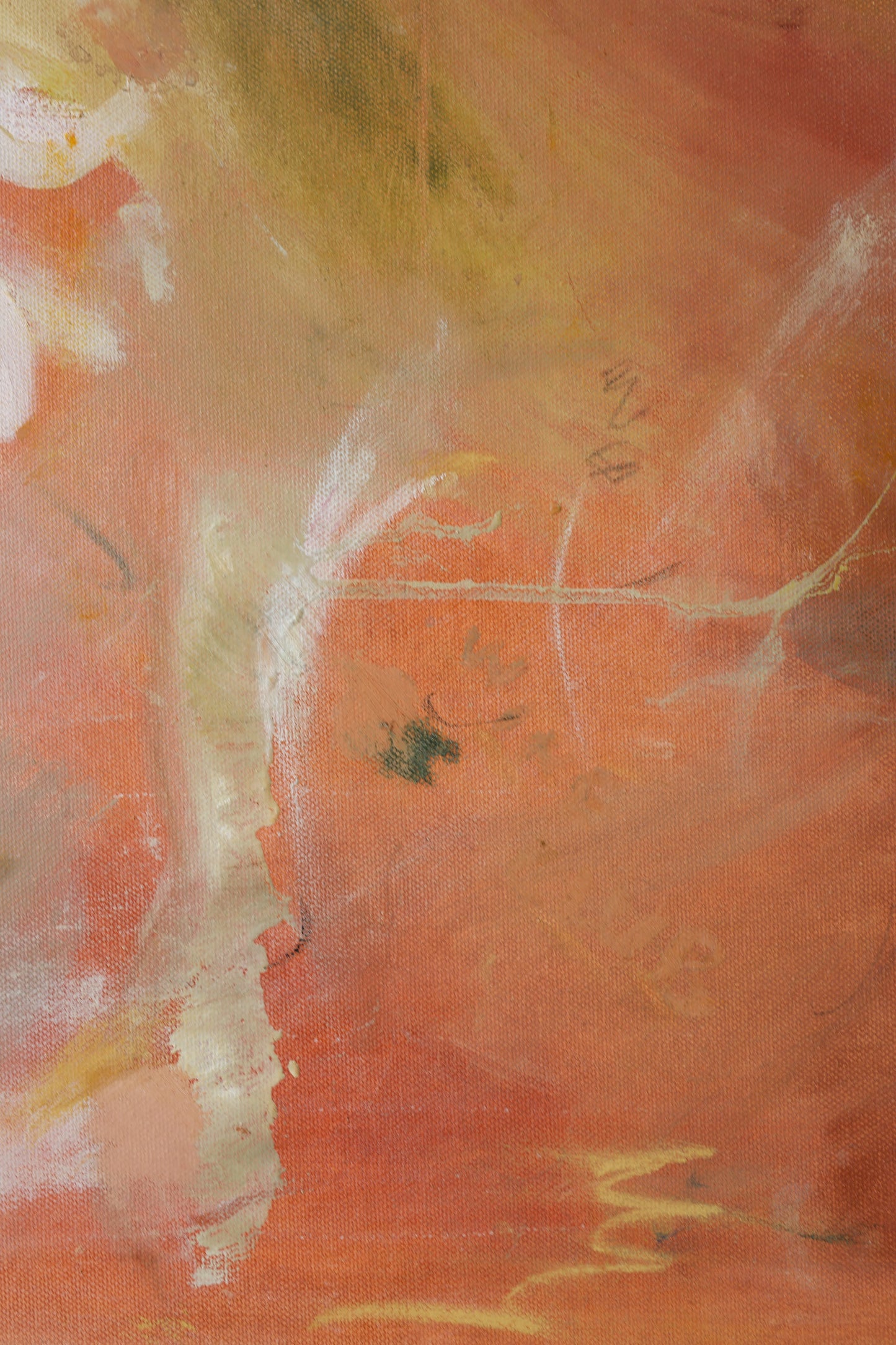 Jamie Danesi / We Watched the Sky Change