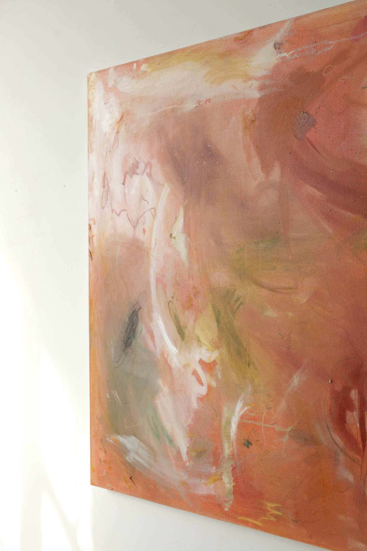 Jamie Danesi / We Watched the Sky Change