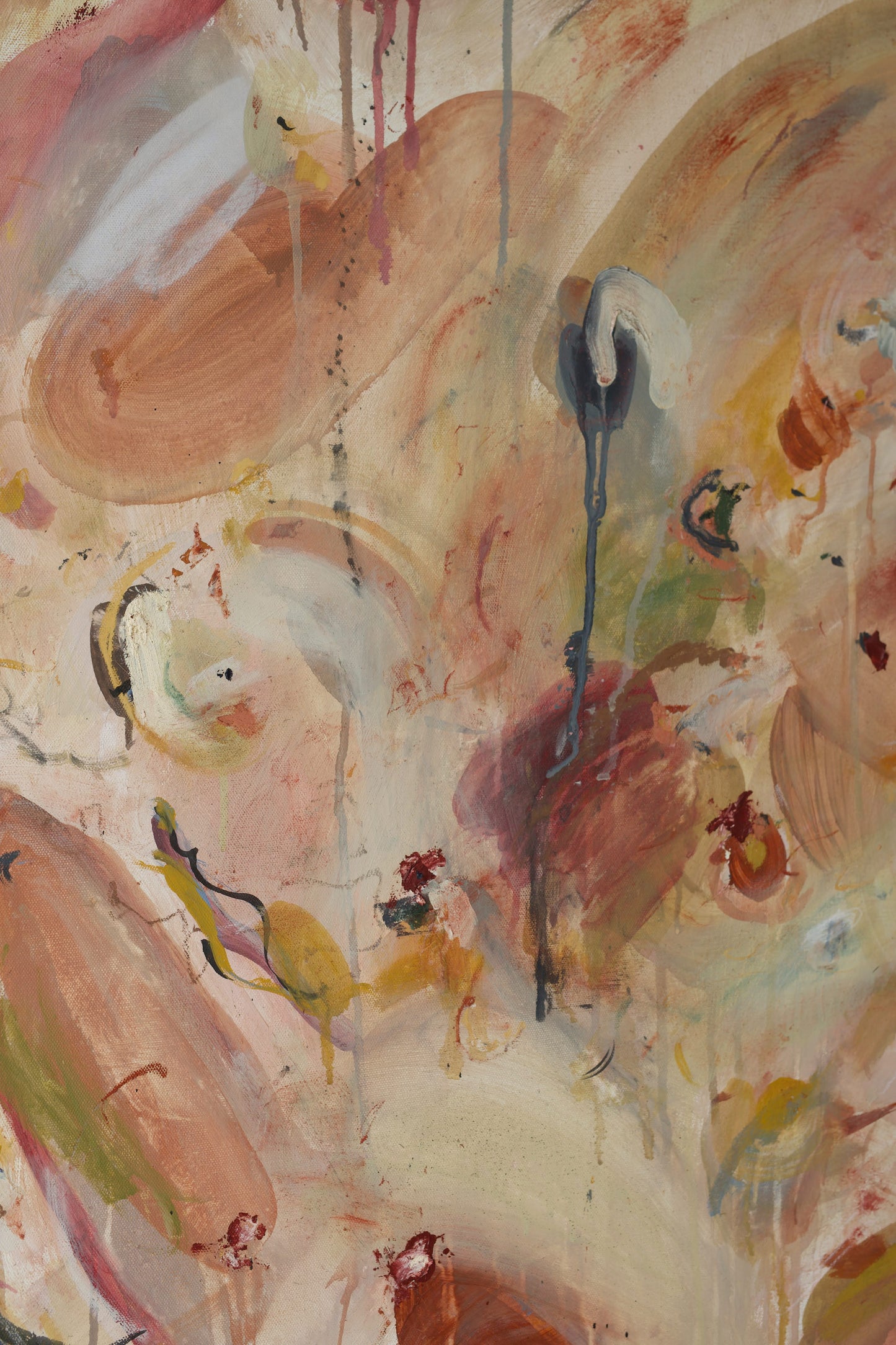 Jamie Danesi / I Remember the Color of It